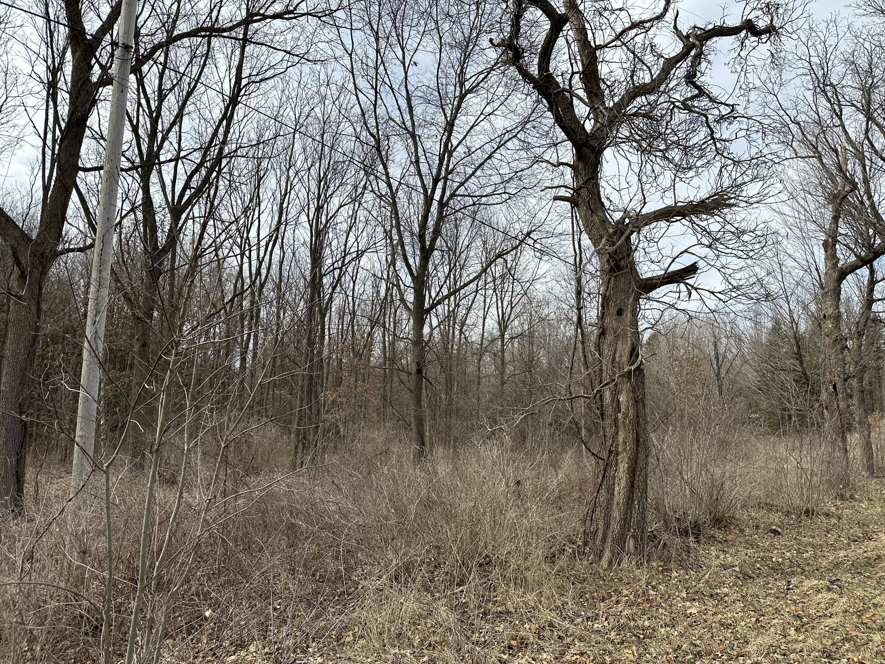 000 M99 S Property Photo