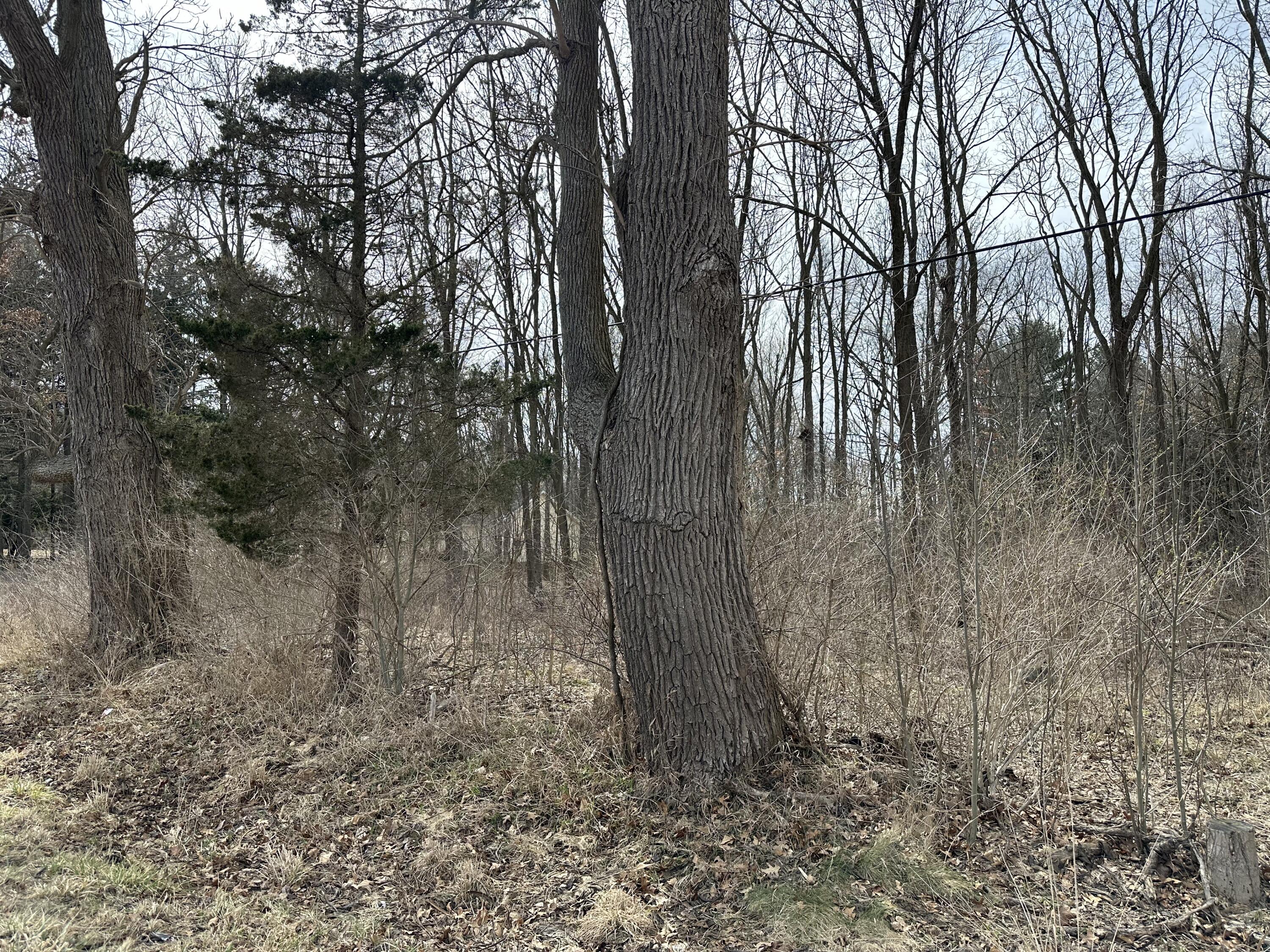 00 M-99 S Property Photo