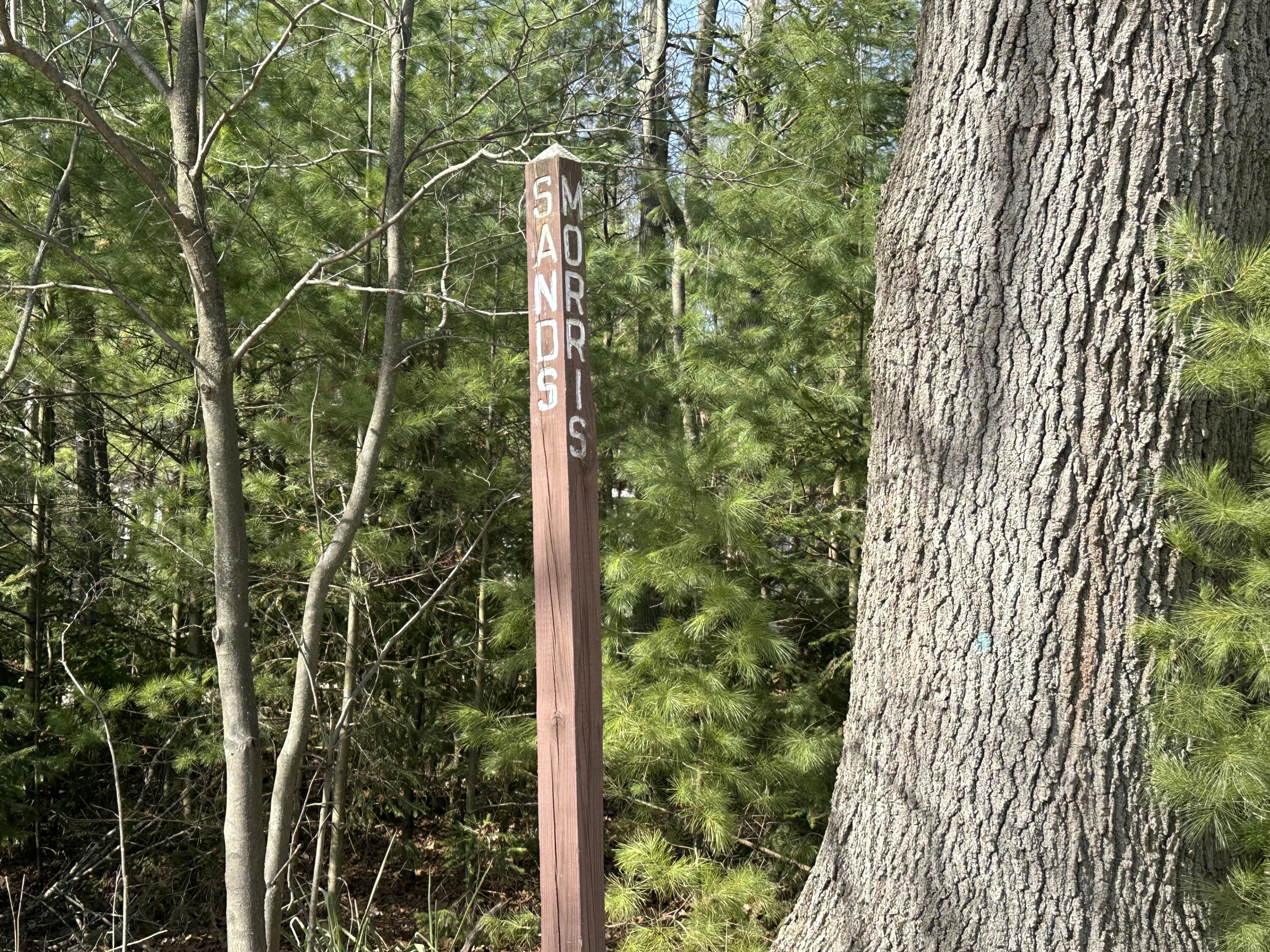 Sands Street - Vacant Property Photo 2