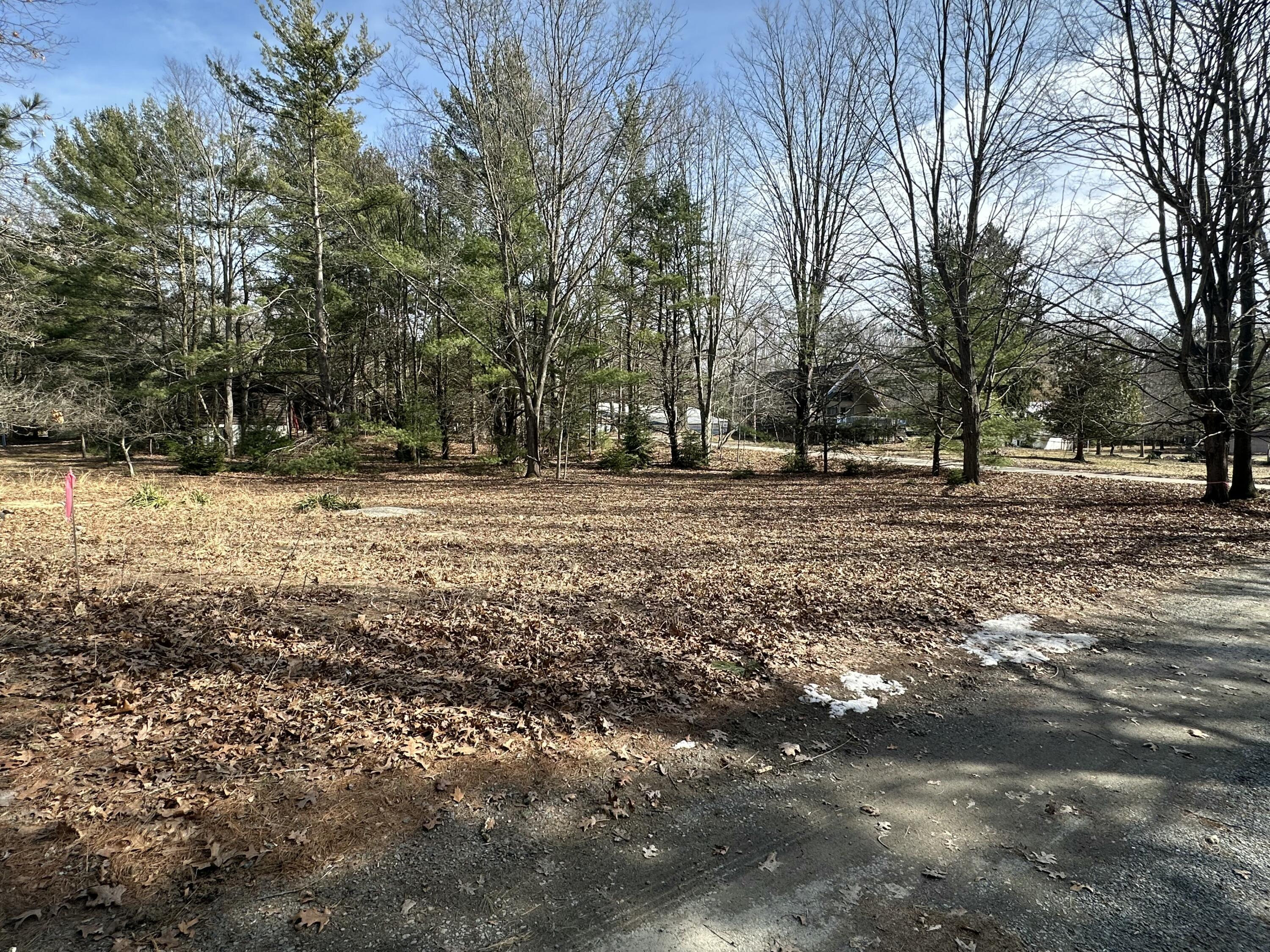 Sands Street - Vacant Property Photo 7