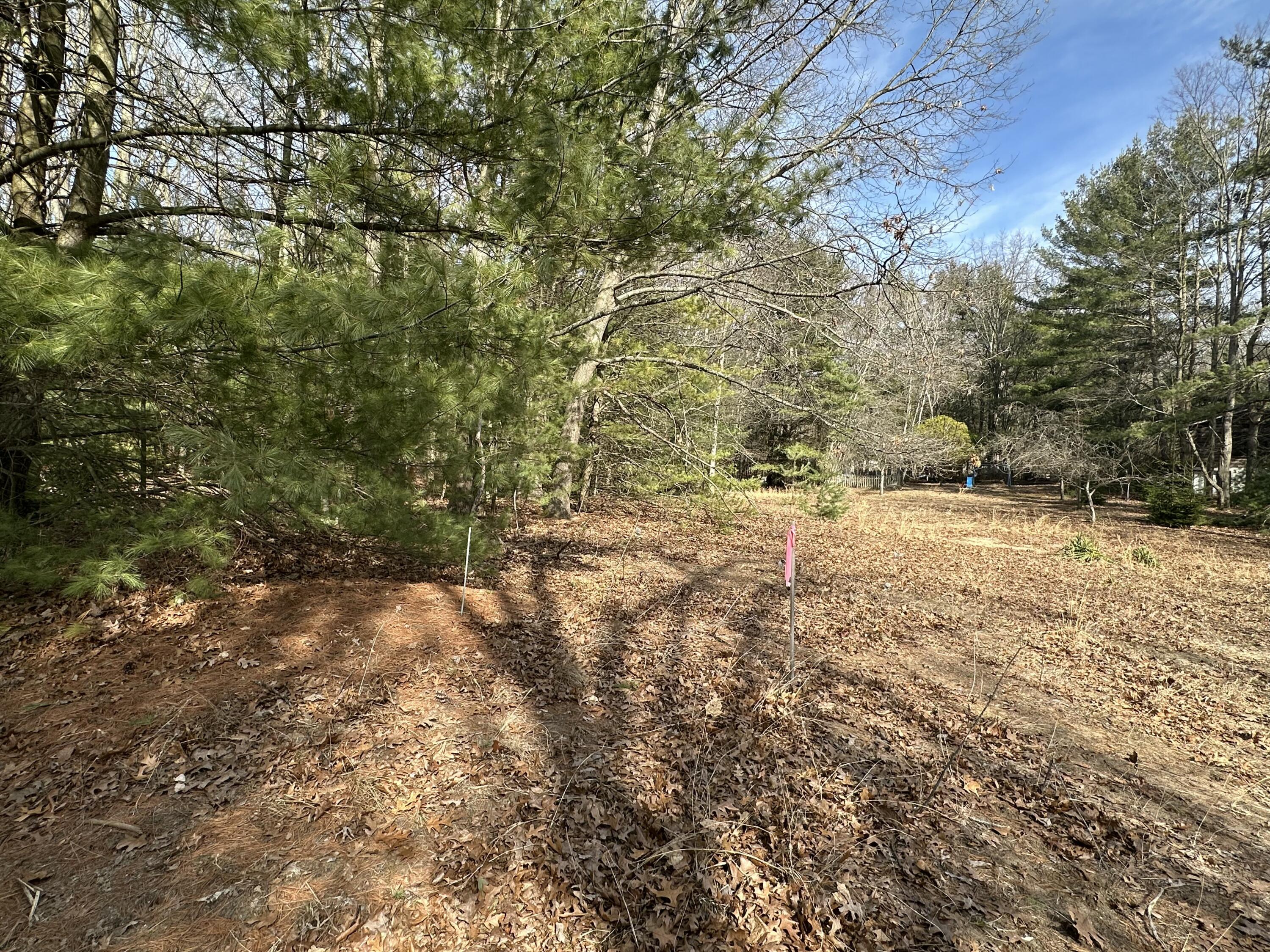 Sands Street - Vacant Property Photo 10