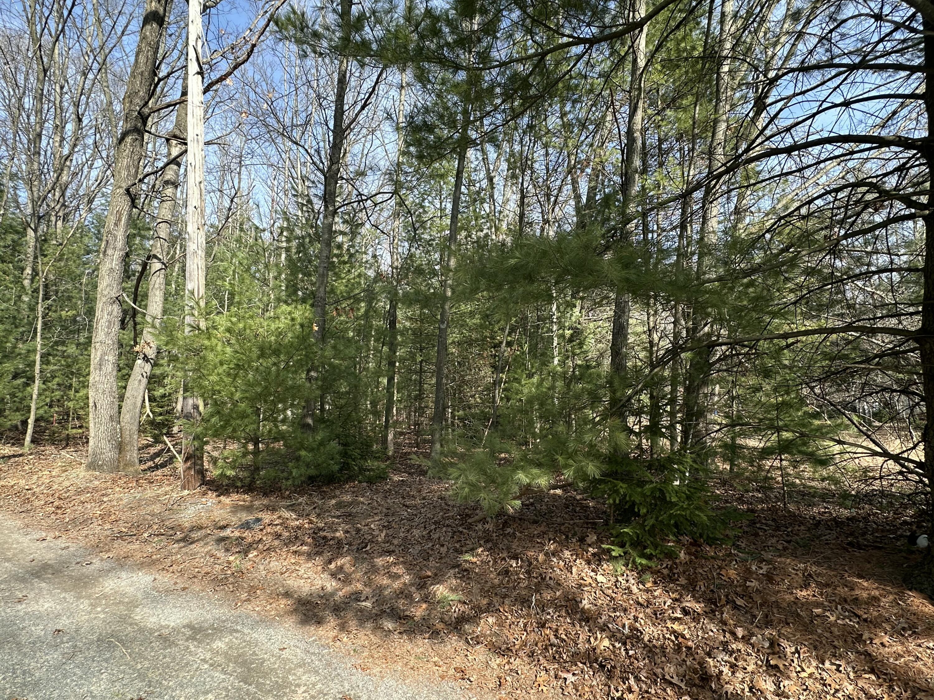 Morris St - Lot B Property Photo 10