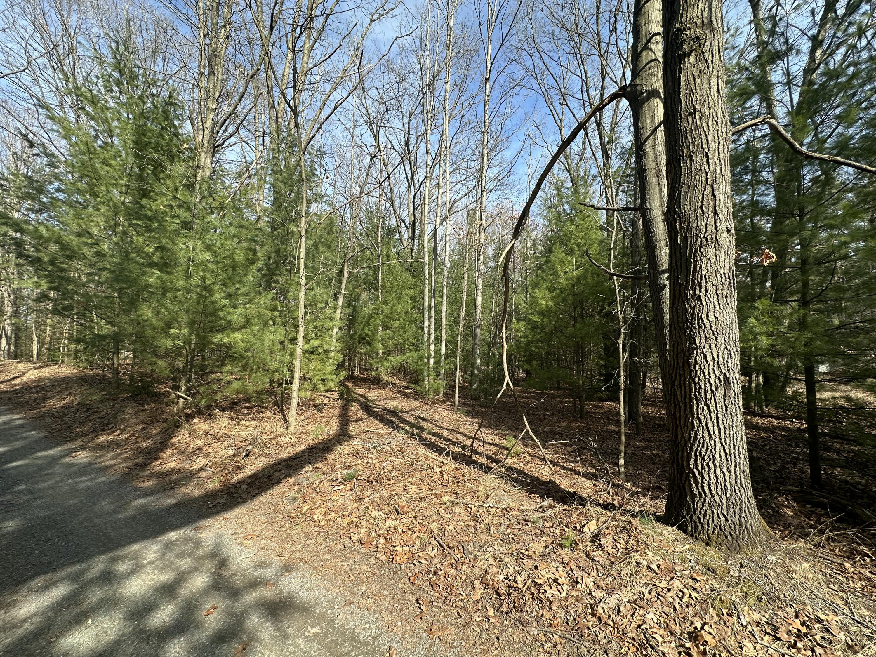 Morris St - Lot B Property Photo 11