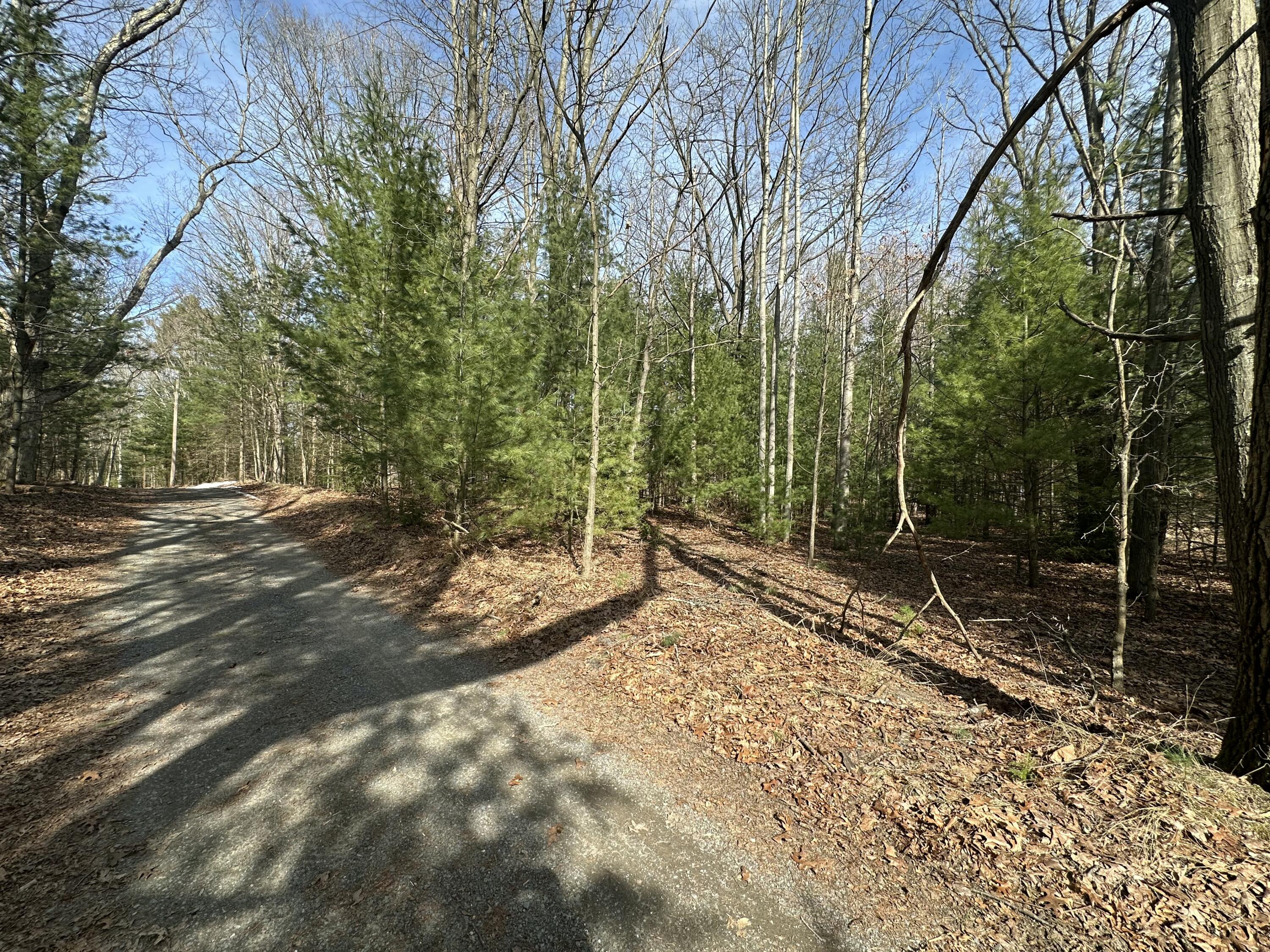 Morris St - Lot B Property Photo 13