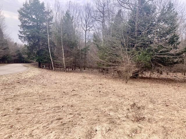 10228 Opal Ridge Drive Property Photo