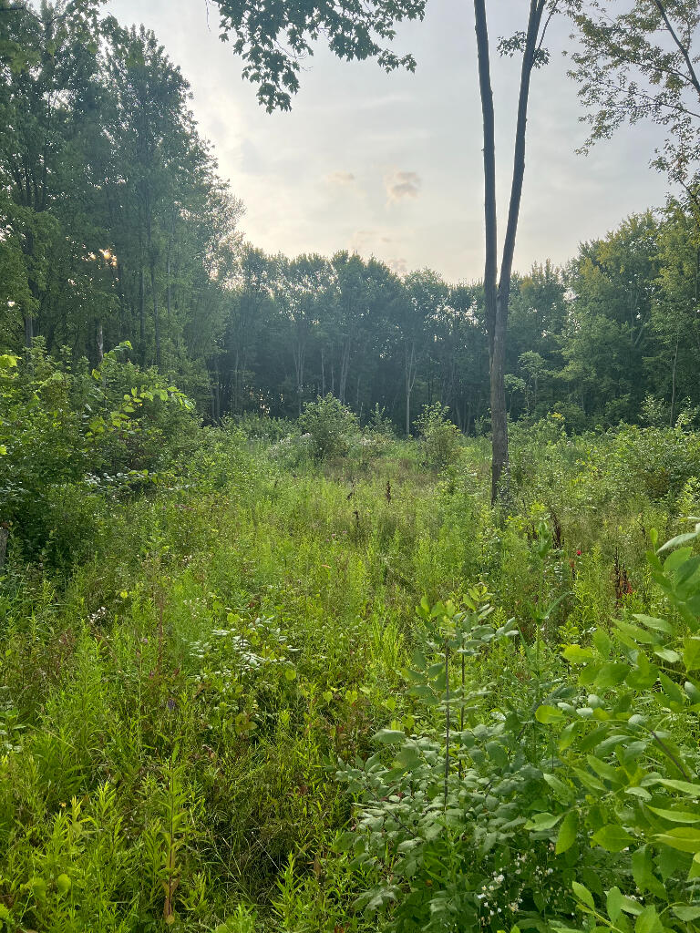 51760 S Foster Road Property Photo 4