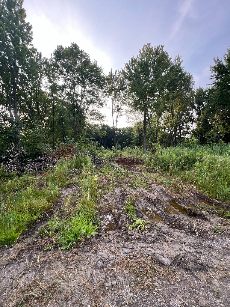 51760 S Foster Road Property Photo 5