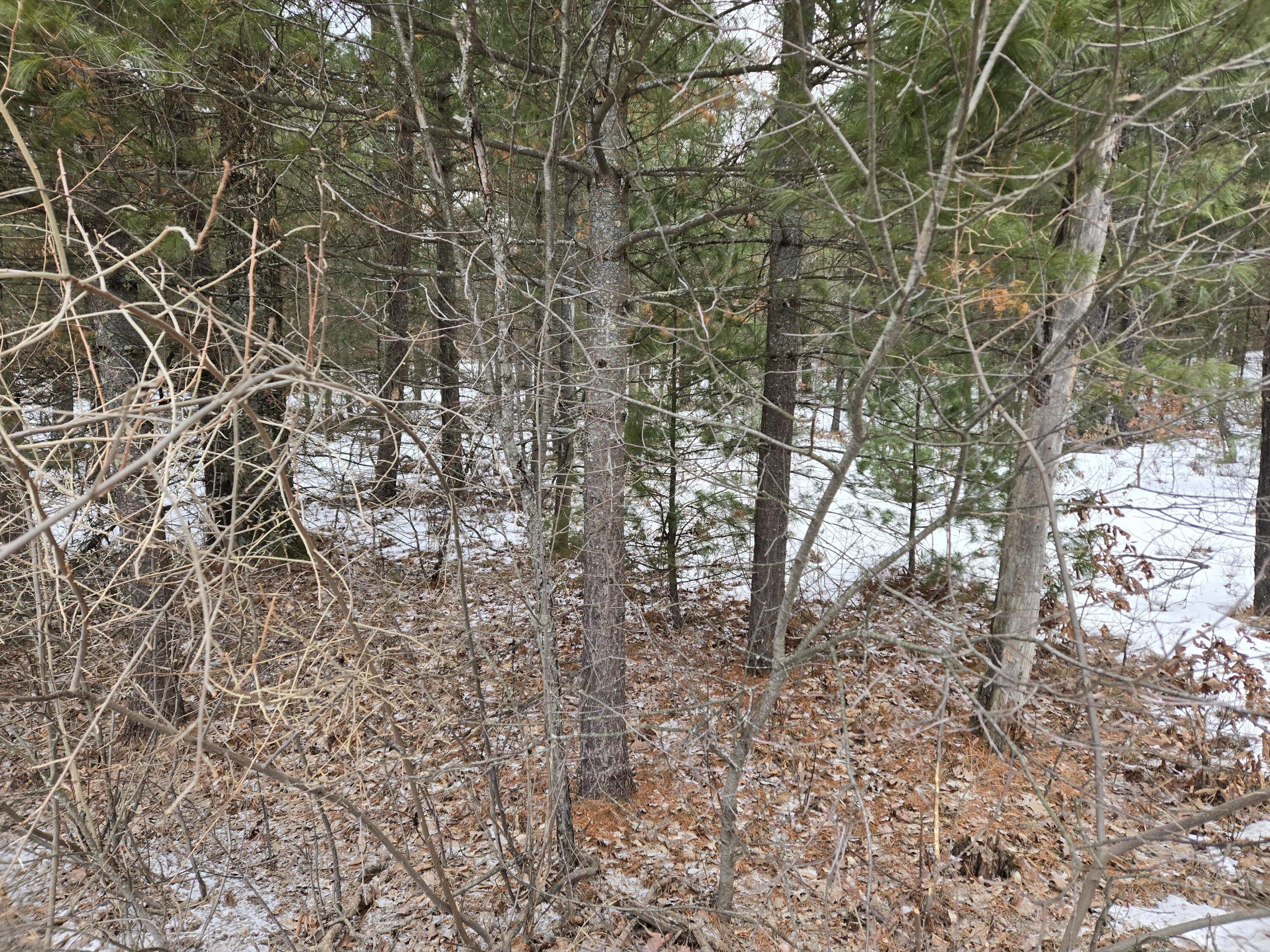 Celestial Drive Property Photo 1
