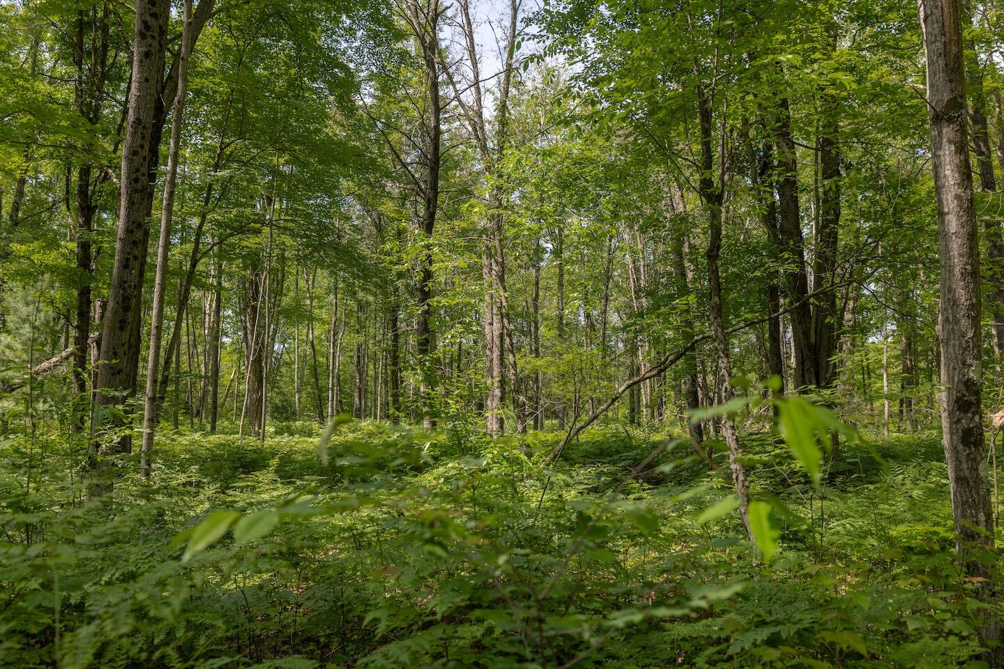 000 V/l 13 Mile Rd., Par D Property Photo