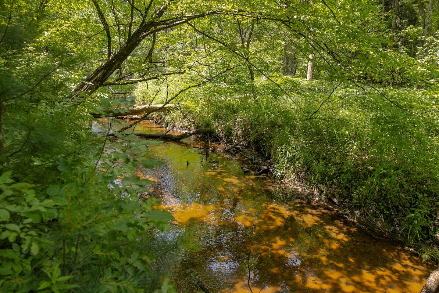 000 V/l 13 Mile Rd. Par D Property Photo 3