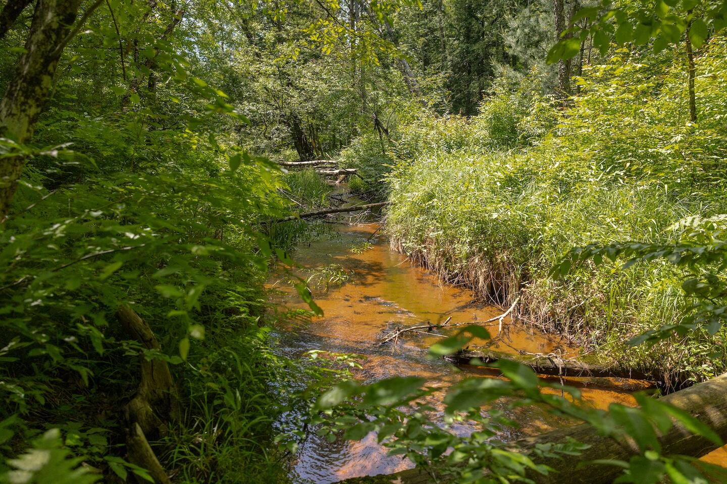 000 V/l 13 Mile Rd. Par D Property Photo 4