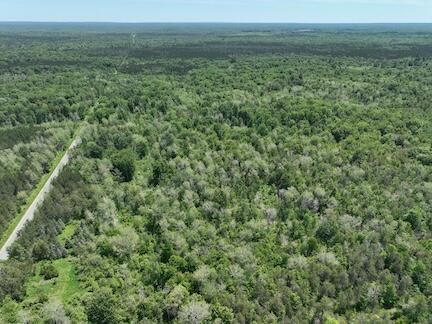 000 V/l 13 Mile Rd. Par D Property Photo 5