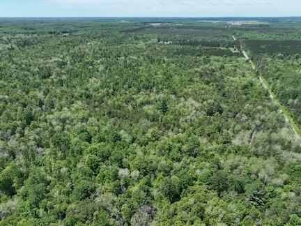 000 V/l 13 Mile Rd. Par D Property Photo 6
