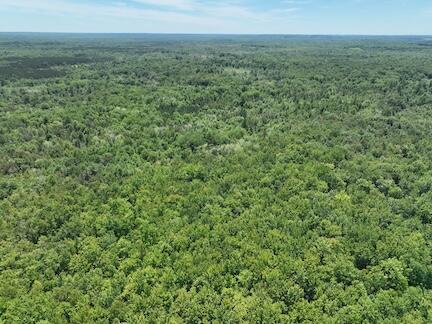 000 V/l 13 Mile Rd. Par D Property Photo 7
