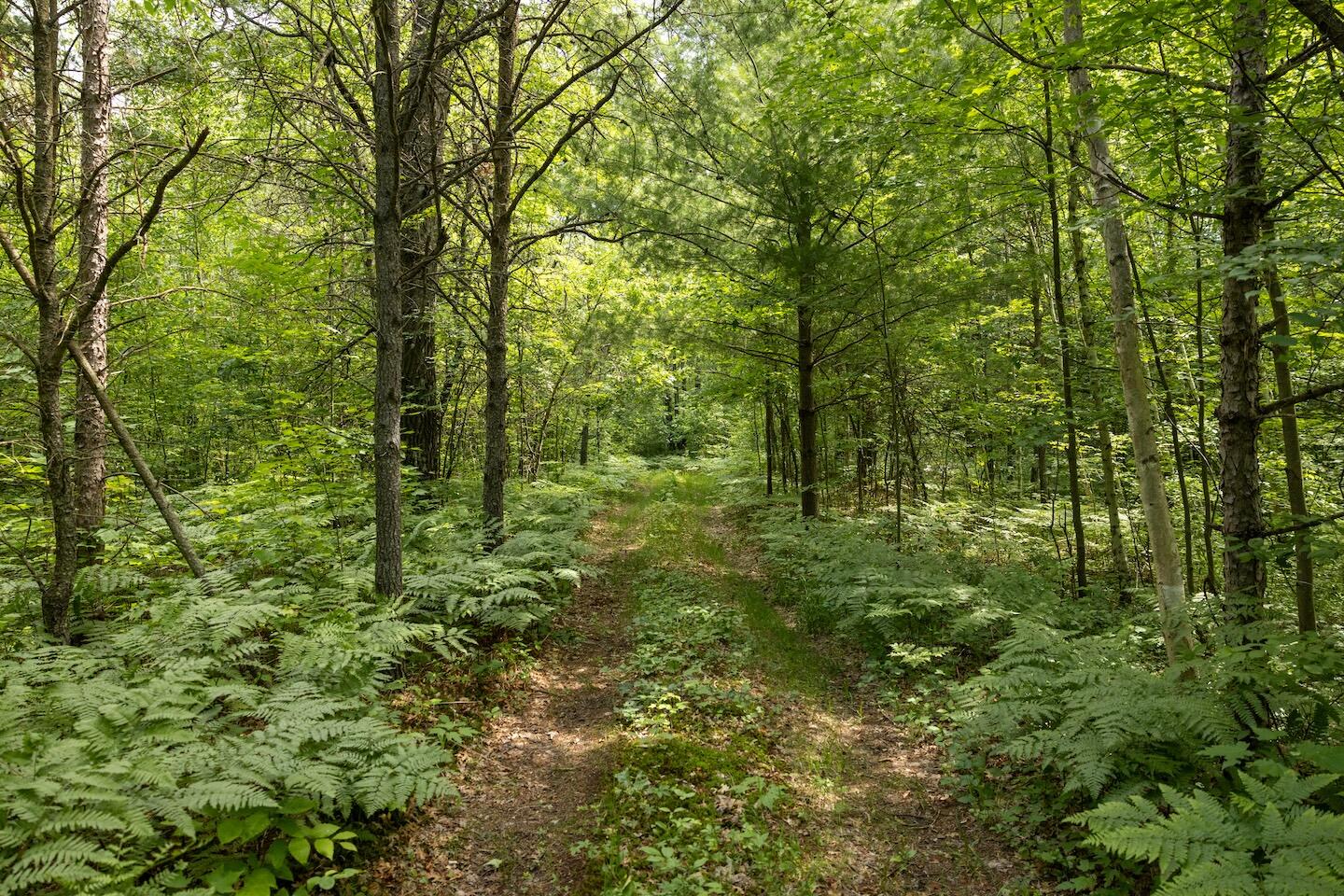 000 V/l 13 Mile Rd. Par D Property Photo 8