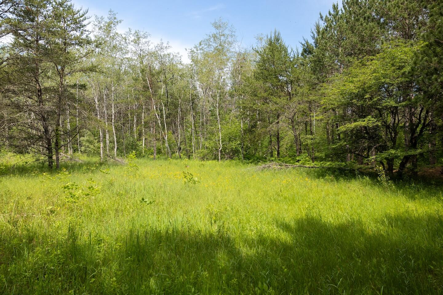 000 V/l 13 Mile Rd. Par D Property Photo 9