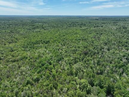 000 V/l 13 Mile Rd. Par D Property Photo 10