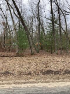 Lot 19 S Star Lake Drive Property Photo