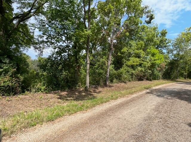 000 Marlborough Property Photo 7