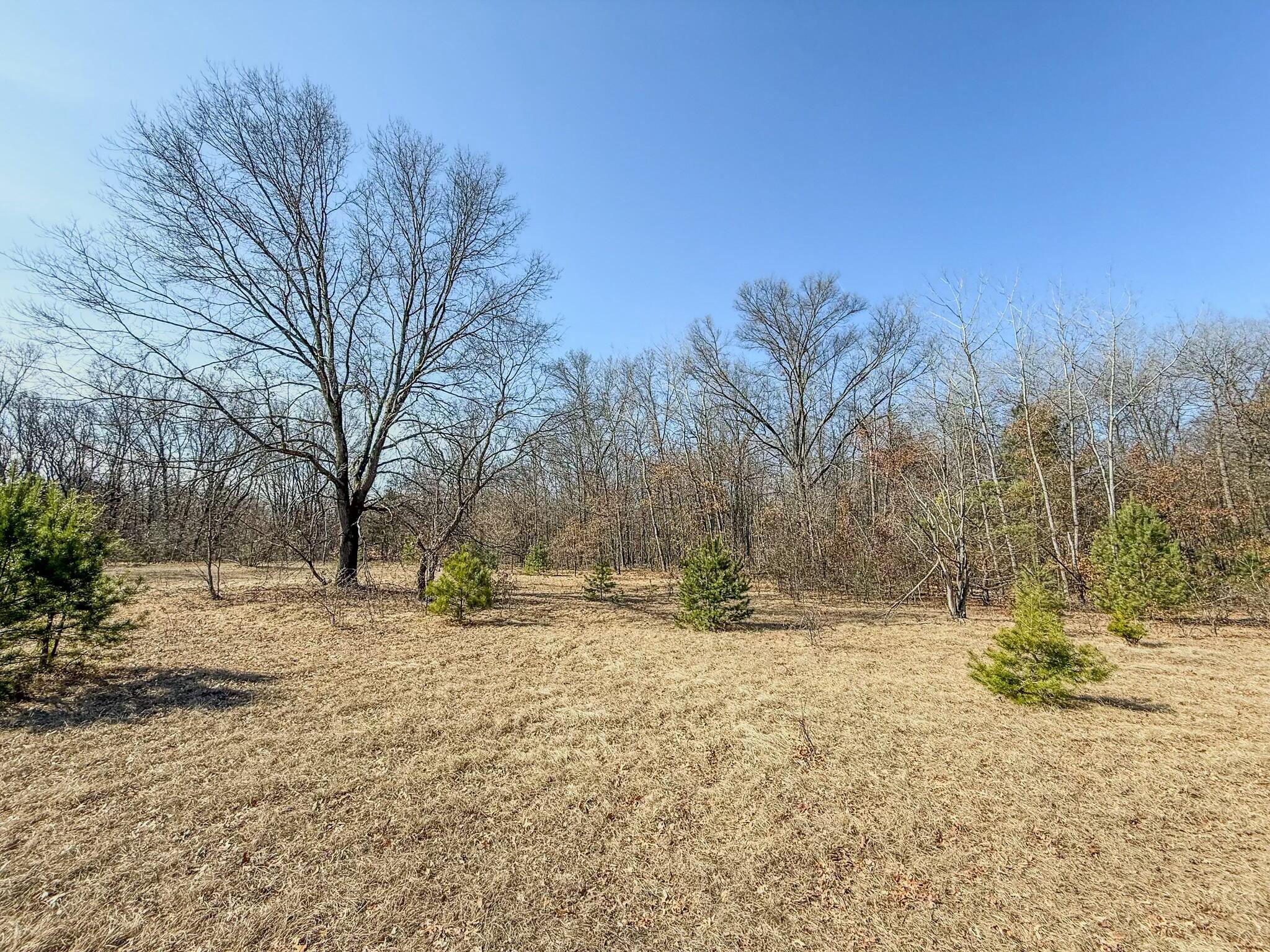 30 Hayes Road Property Photo