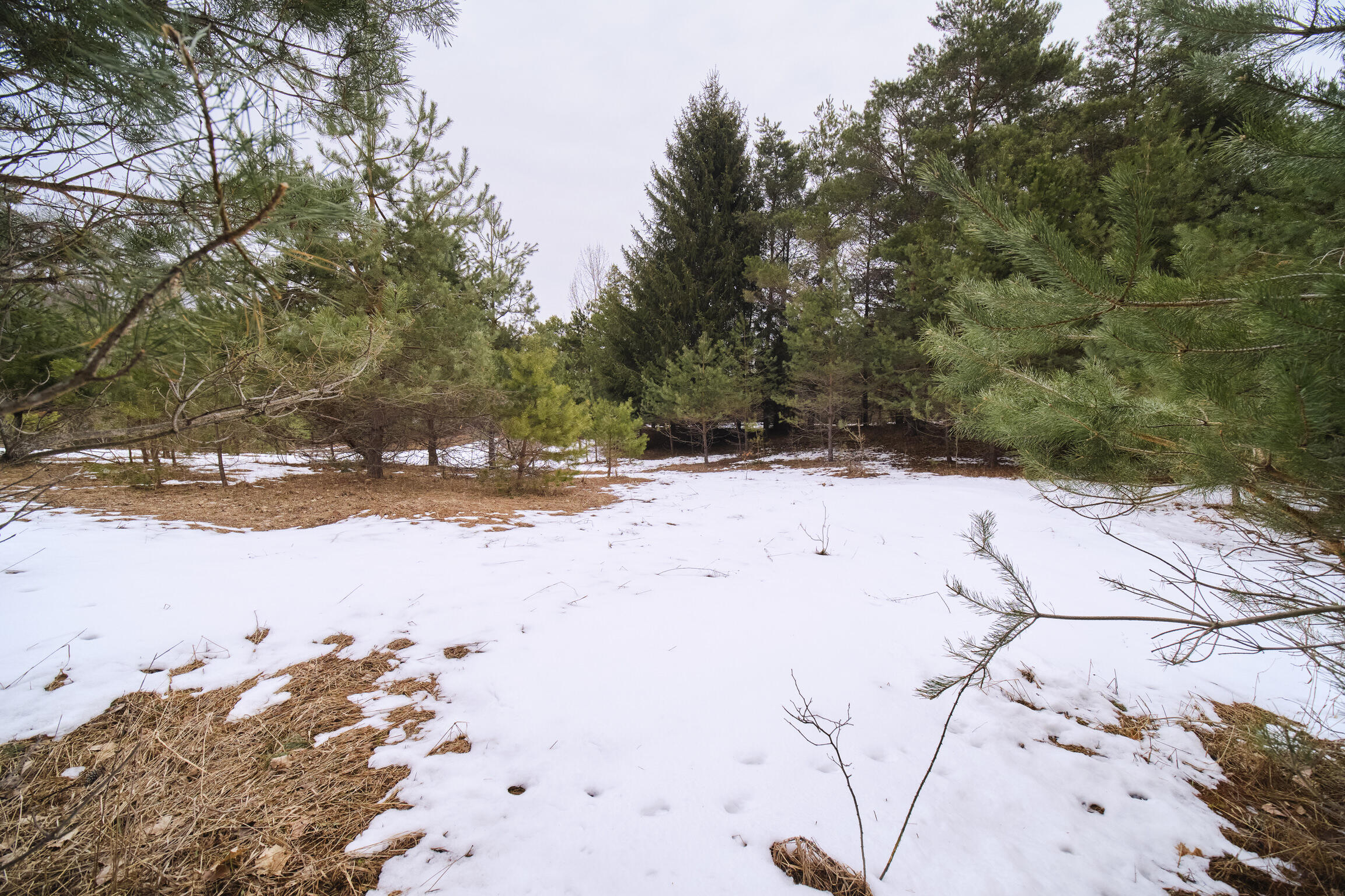 (2.76 Acres) Covey Road Property Photo