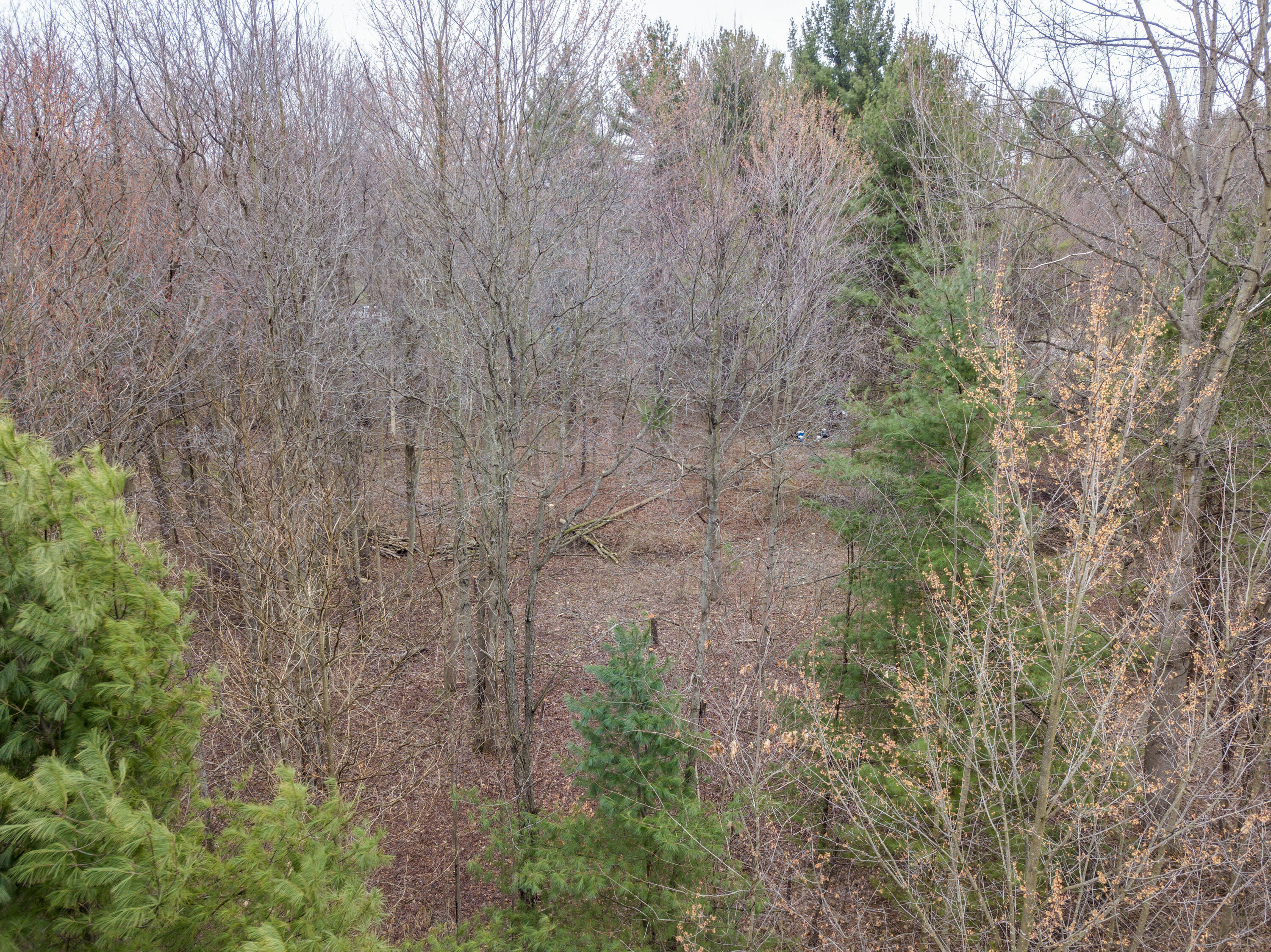 70386 M 43 Street, Lot C Property Photo 11