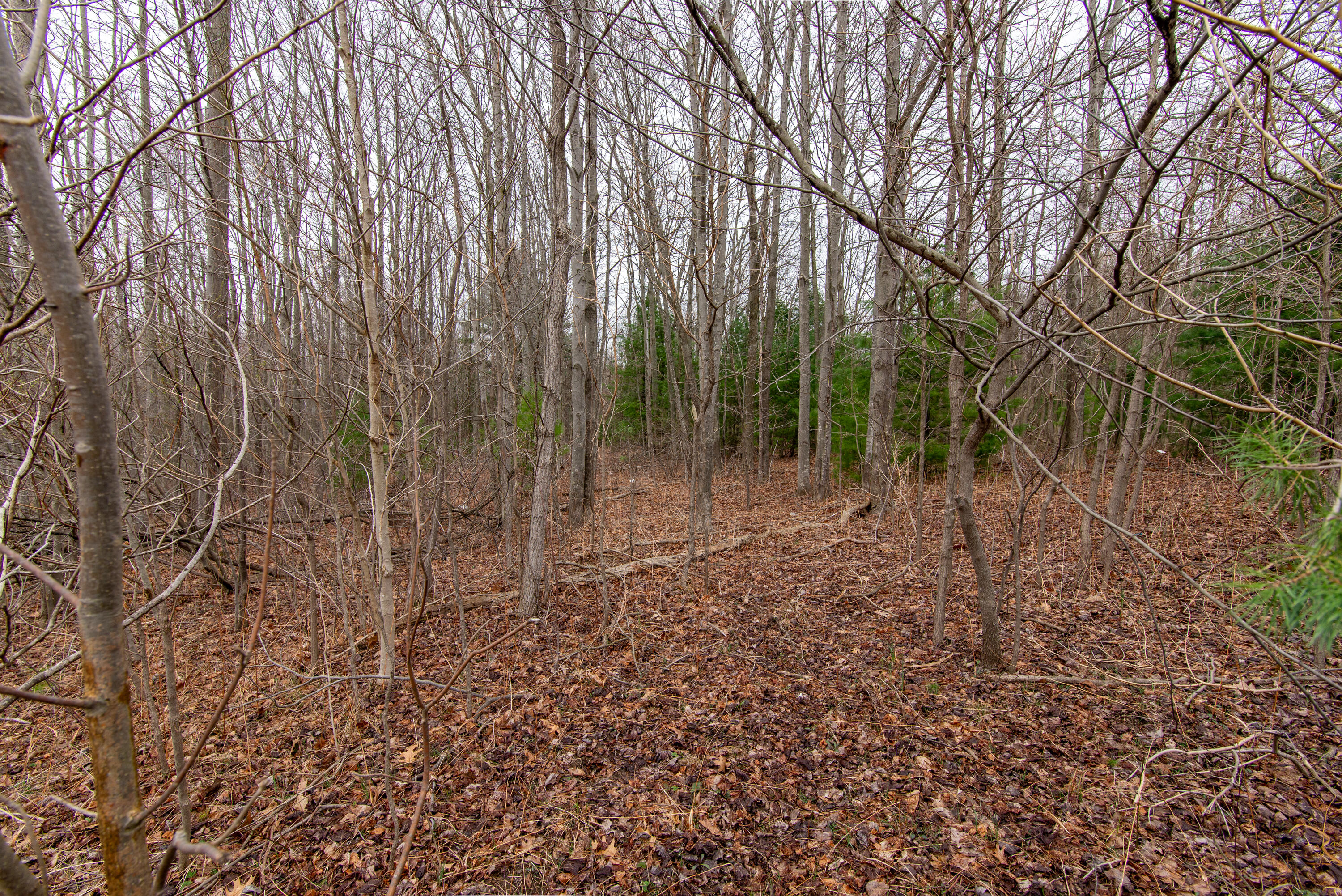 70386 M 43 Street, Lot C Property Photo 13