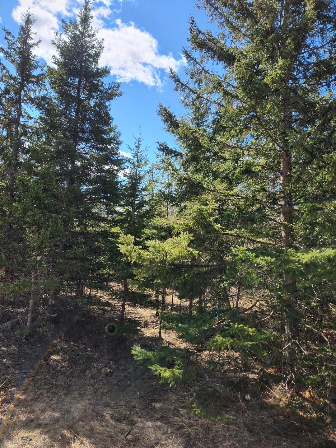 Boyne Falls Real Estate Listings Main Image