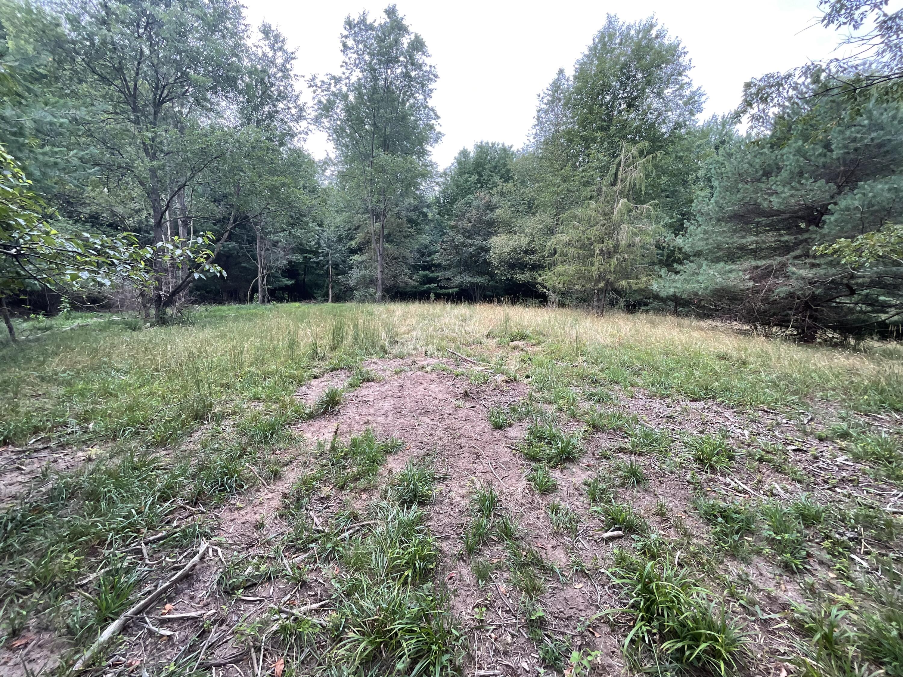B.1 111th Avenue Property Photo 4