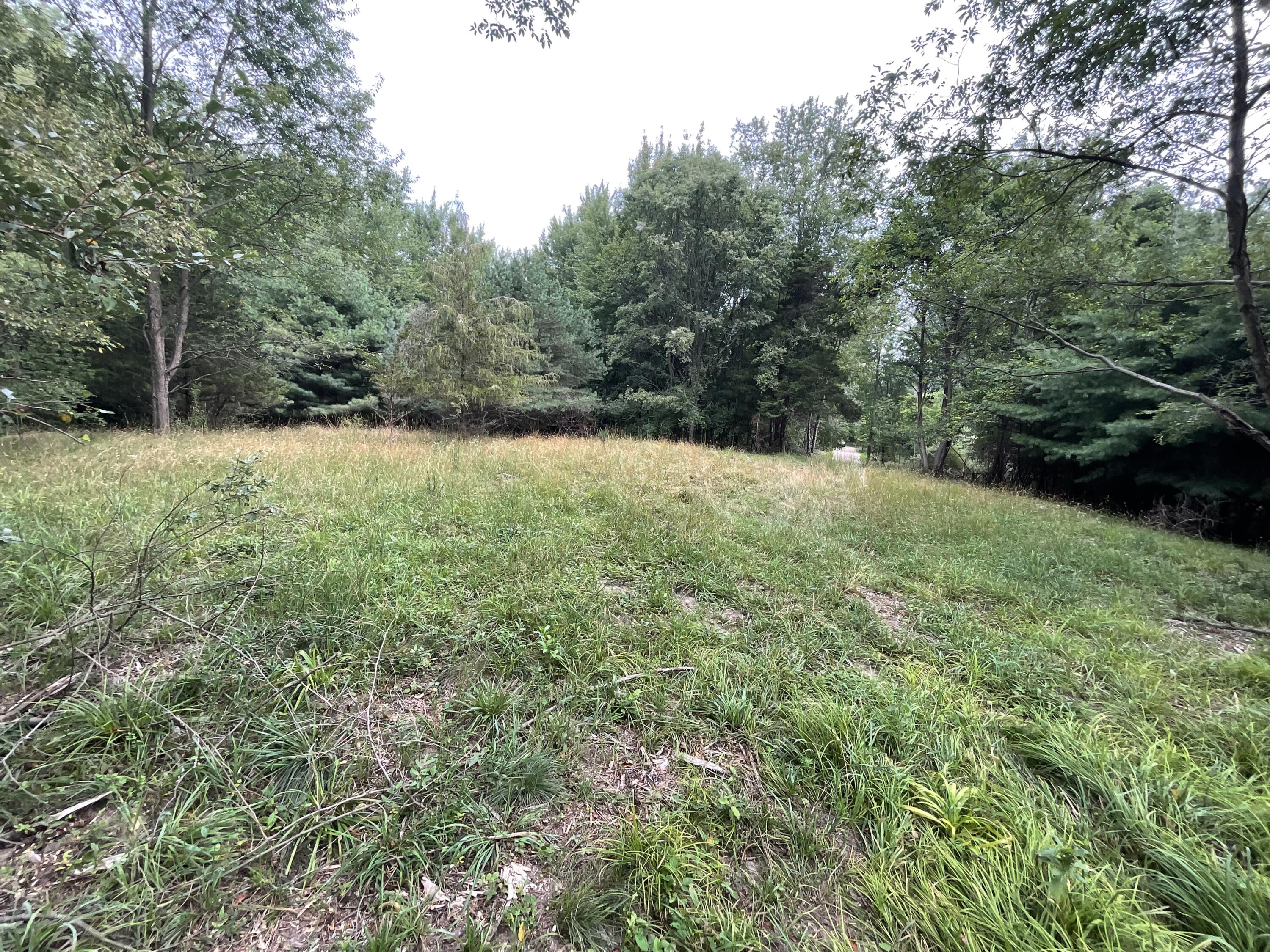 B.1 111th Avenue Property Photo 5