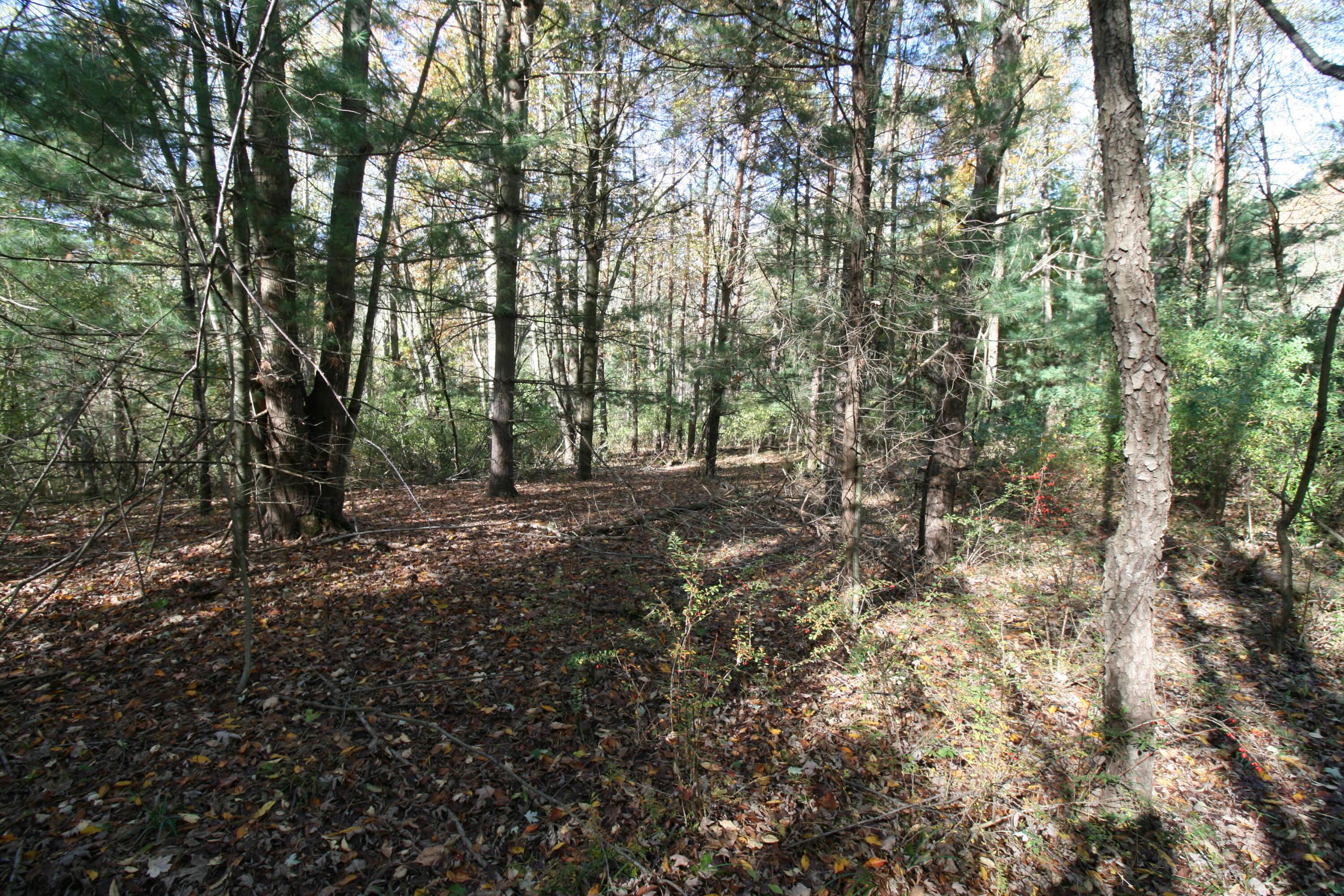 D.2 70th Street Property Photo 11