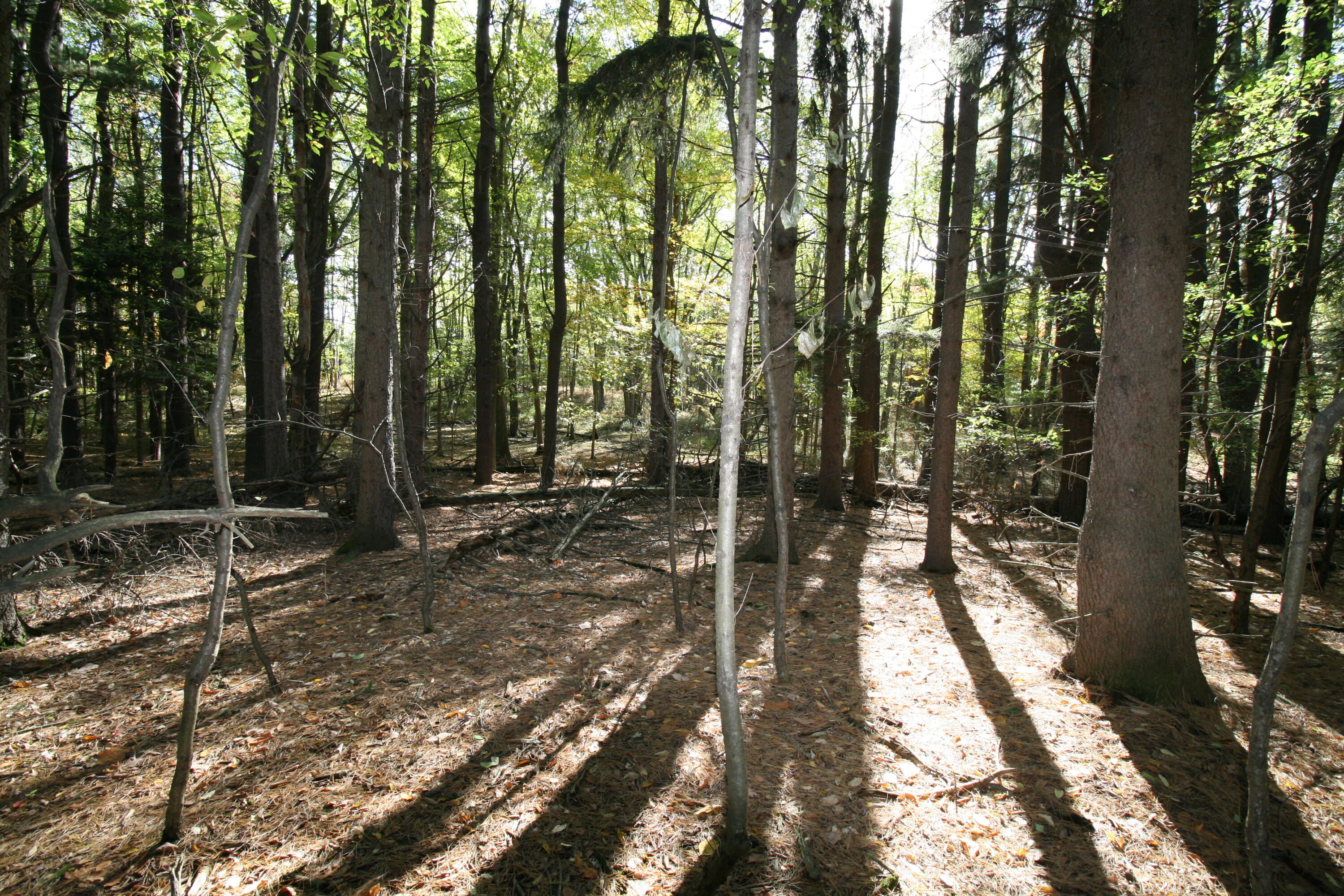 D.2 70th Street Property Photo 13