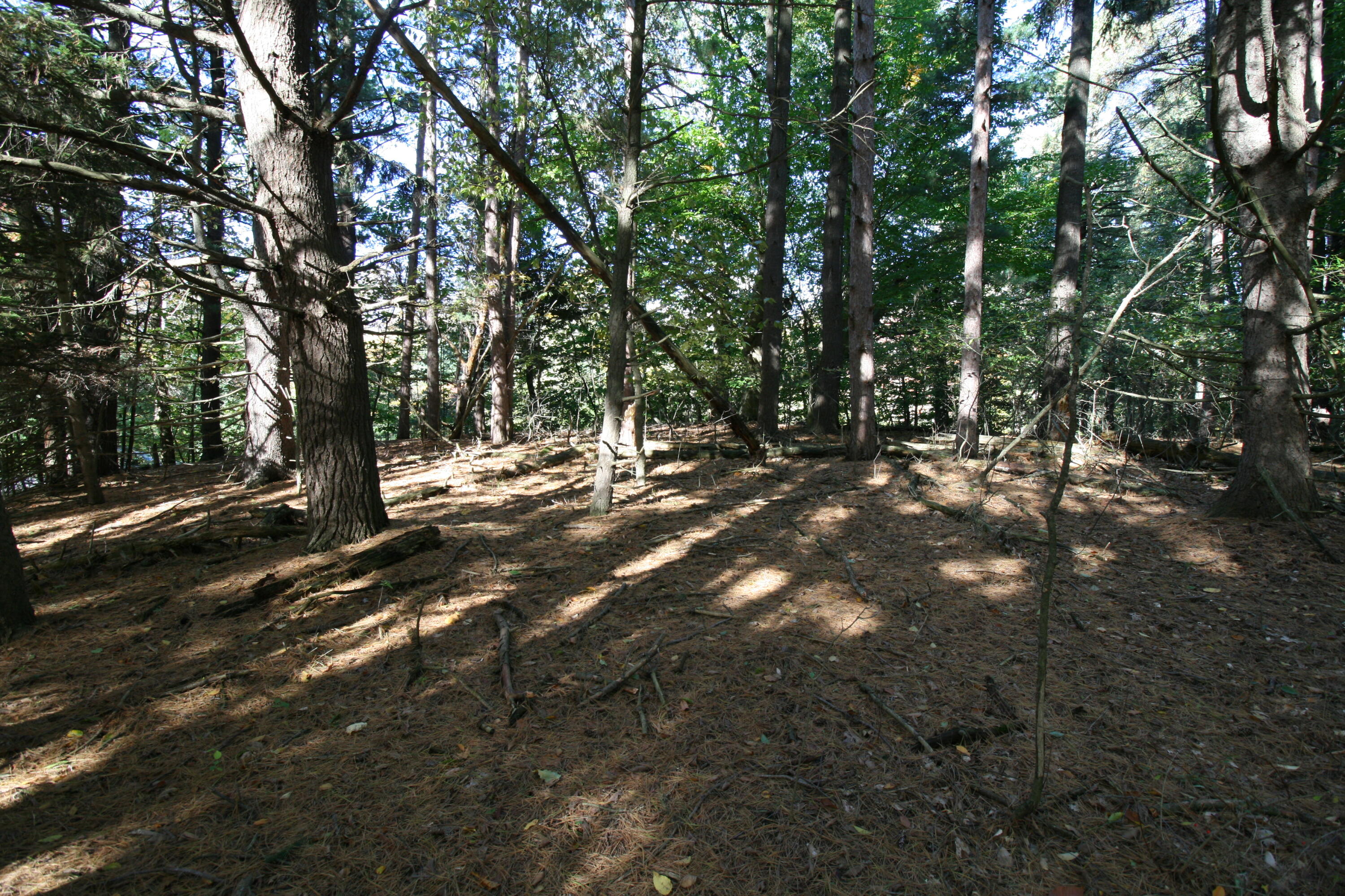 D.2 70th Street Property Photo 14