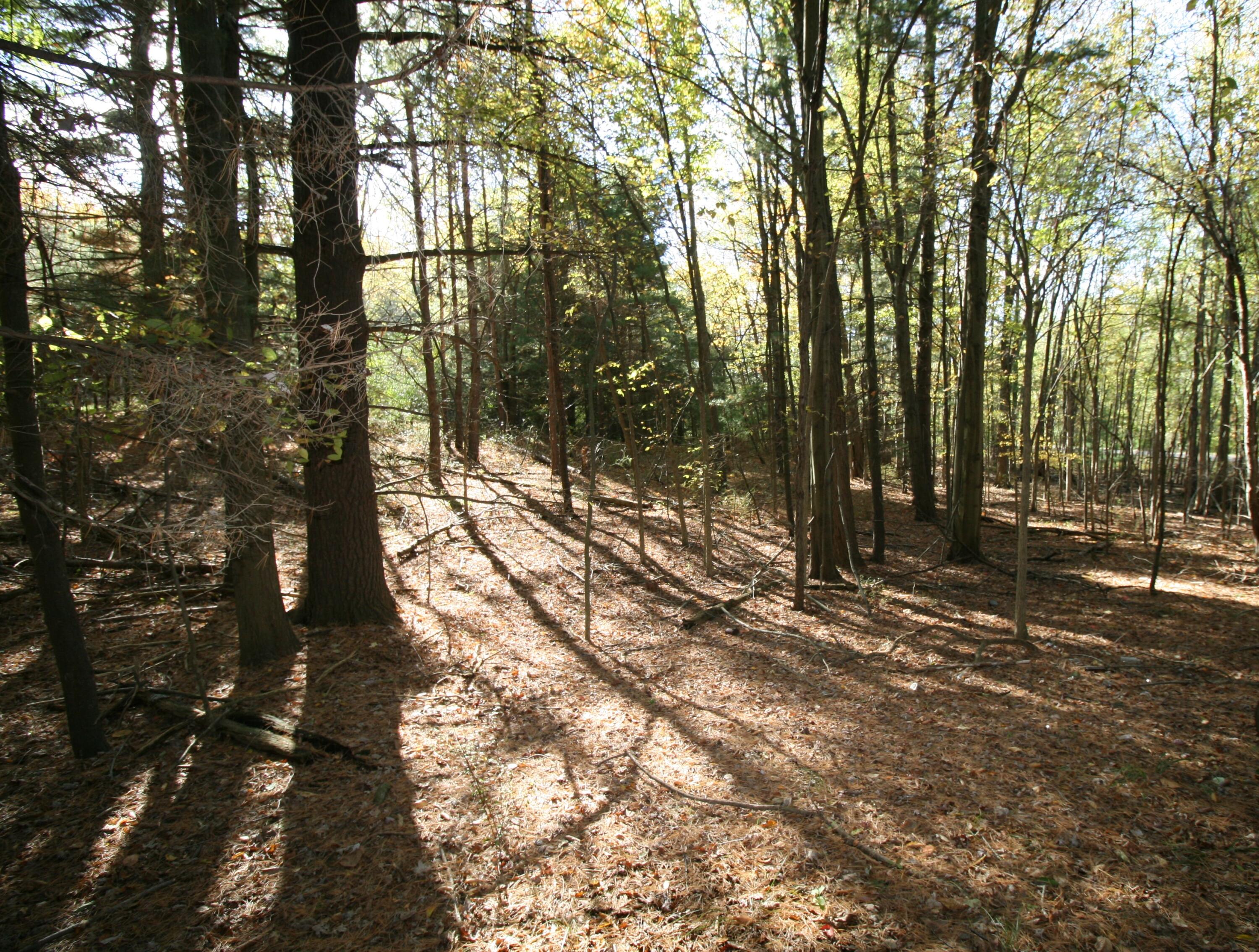 F 70th Street Property Photo 10