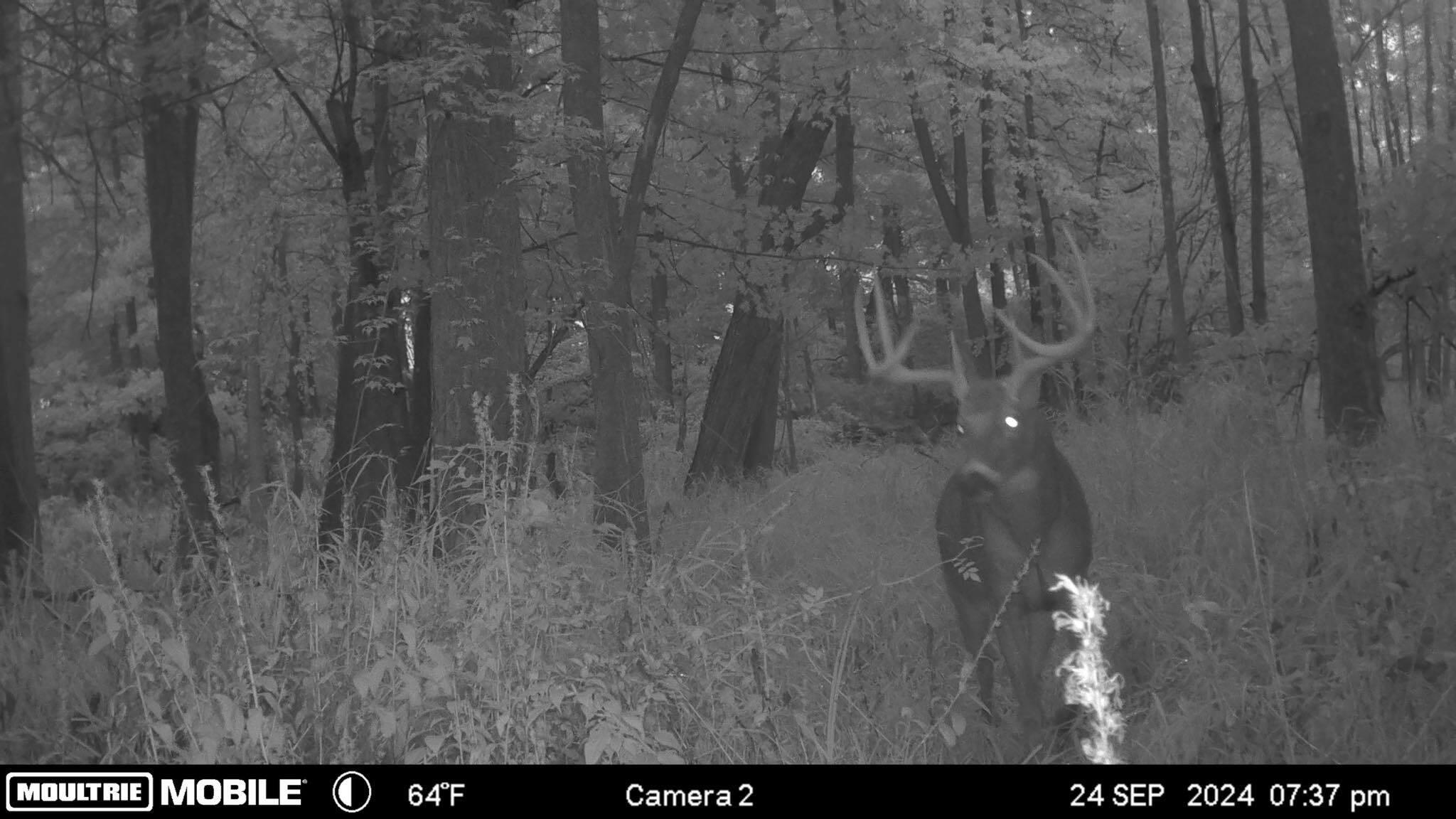 0 Stearns Road Property Photo