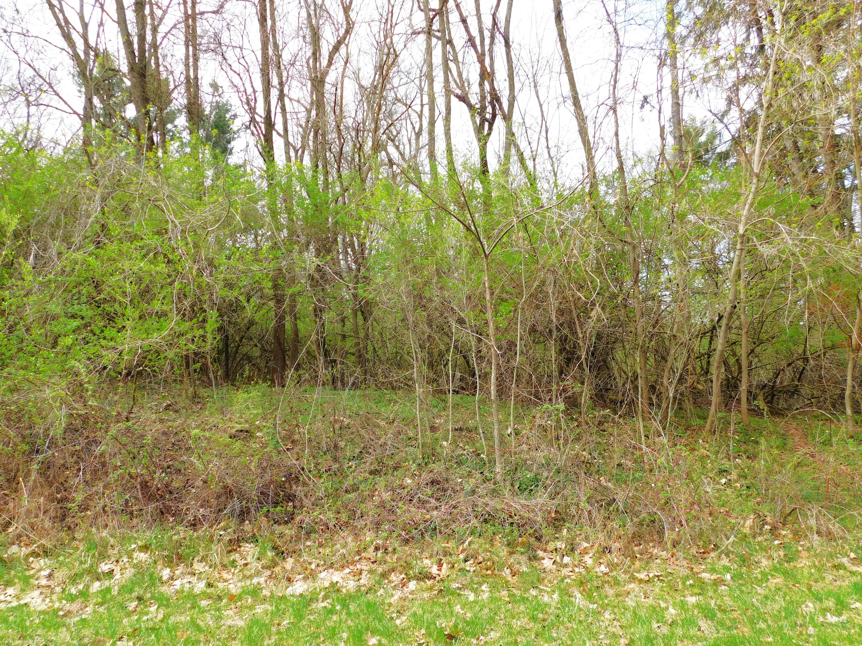 V/l Greyhawke Ridge, Lot 5 Property Photo