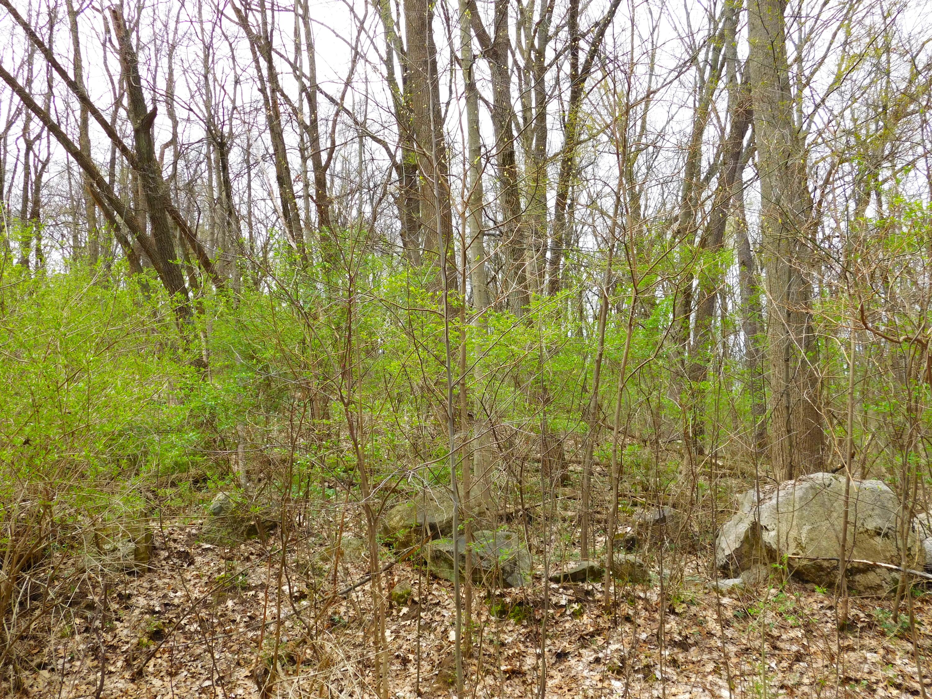 V/l Greyhawke Ridge Property Photo