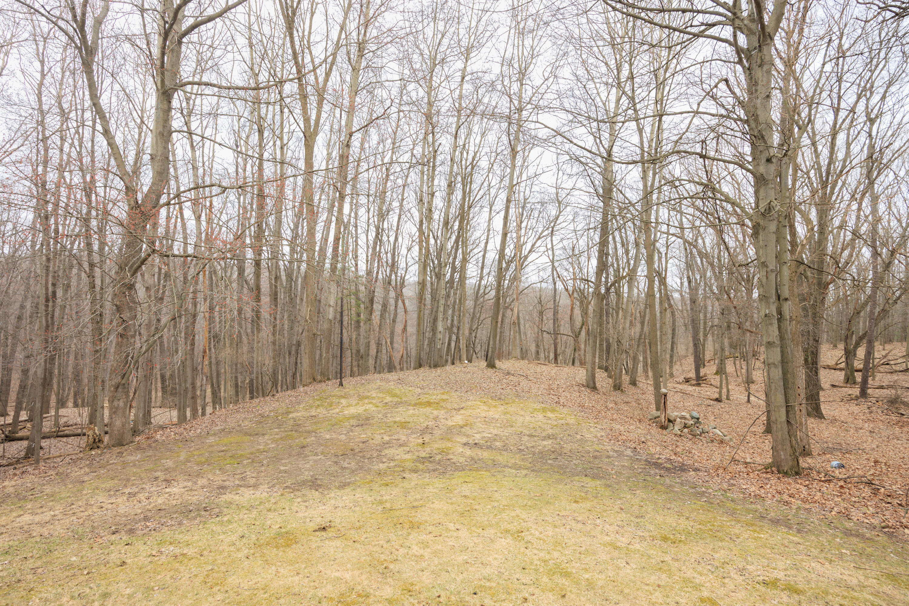 4267 Gardner Road Property Photo 41