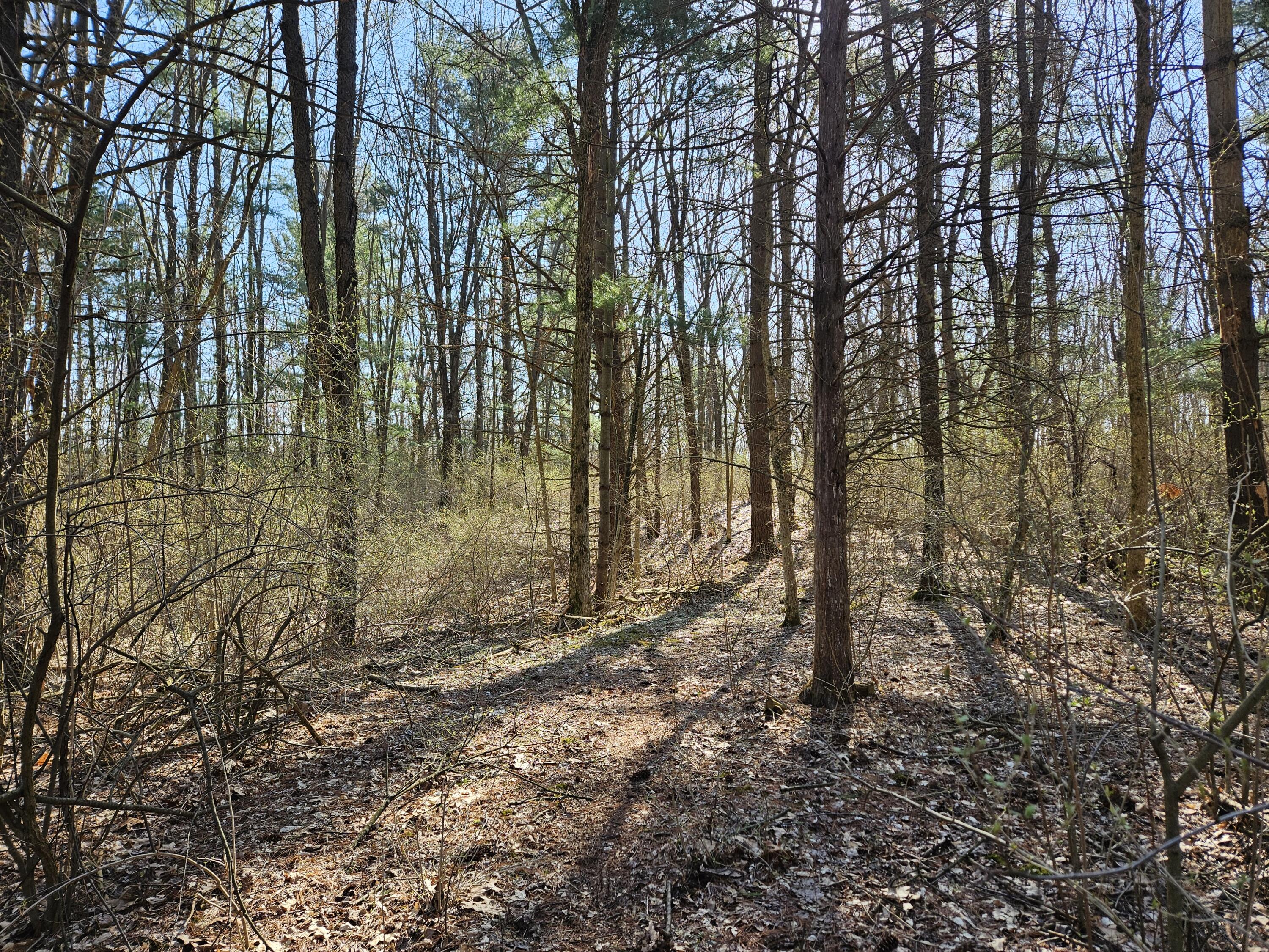 0 Pierce Parcel C Road Property Photo