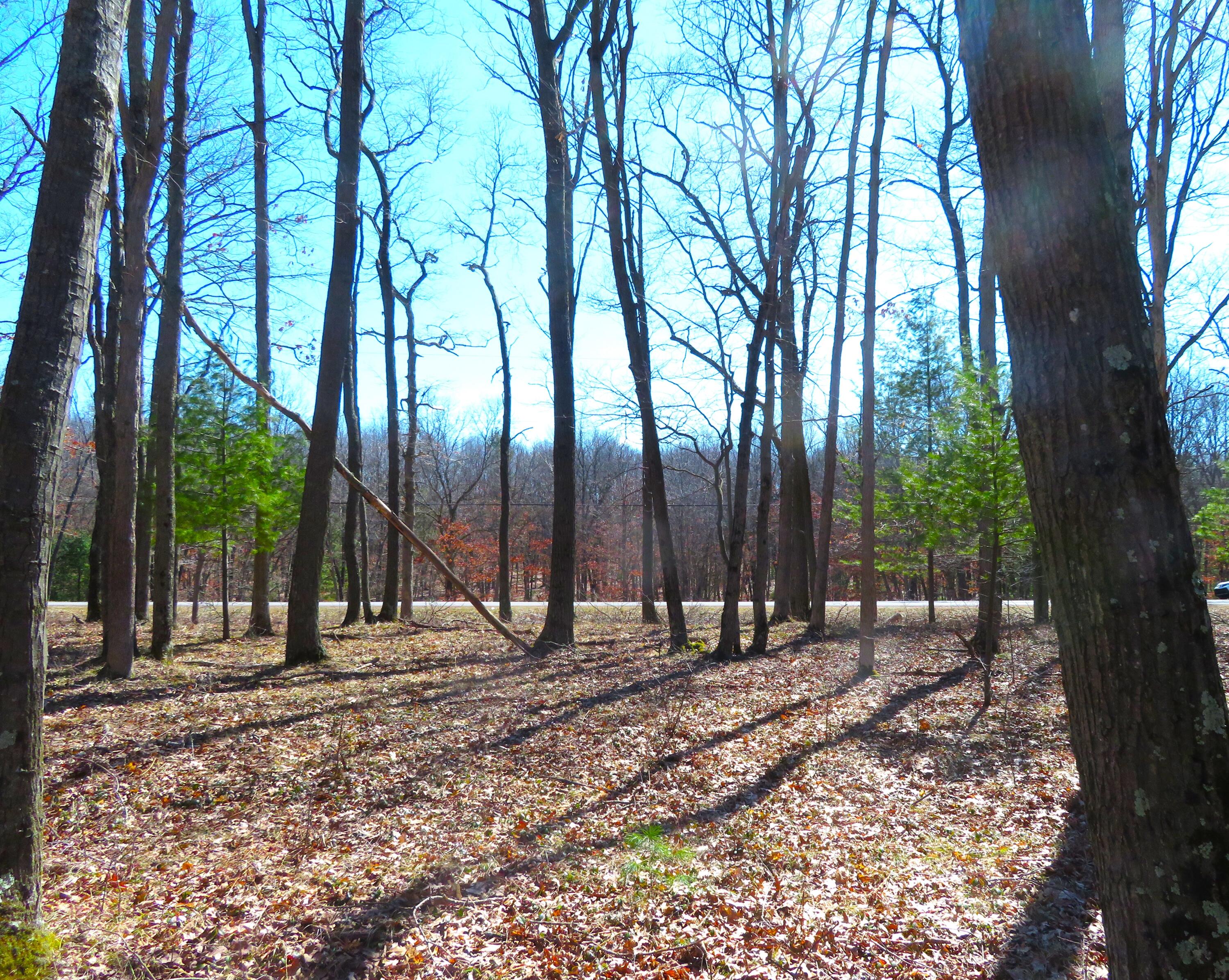 5 Acres Pine Creek Road Property Photo