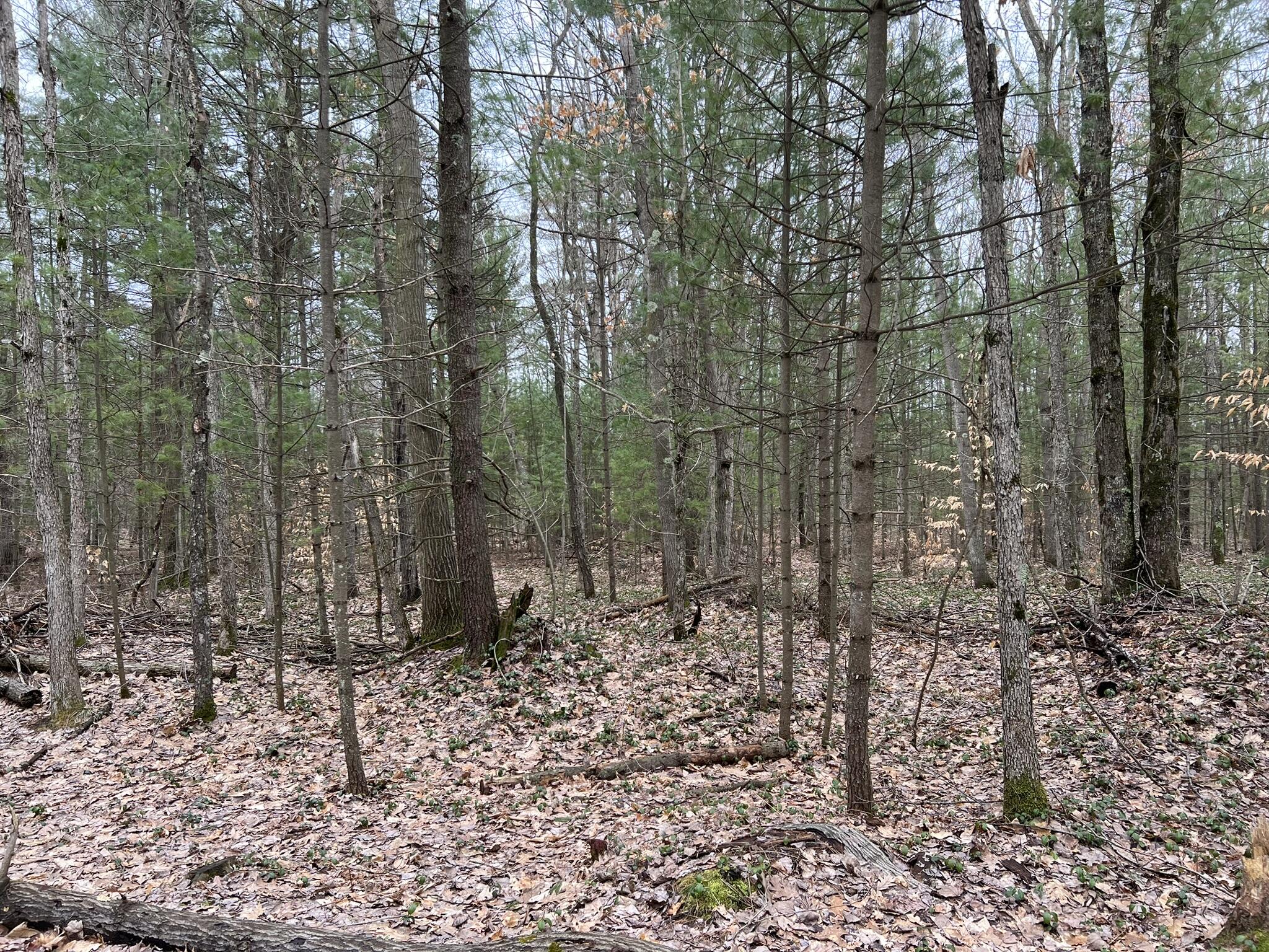 Cherry Lane Property Photo