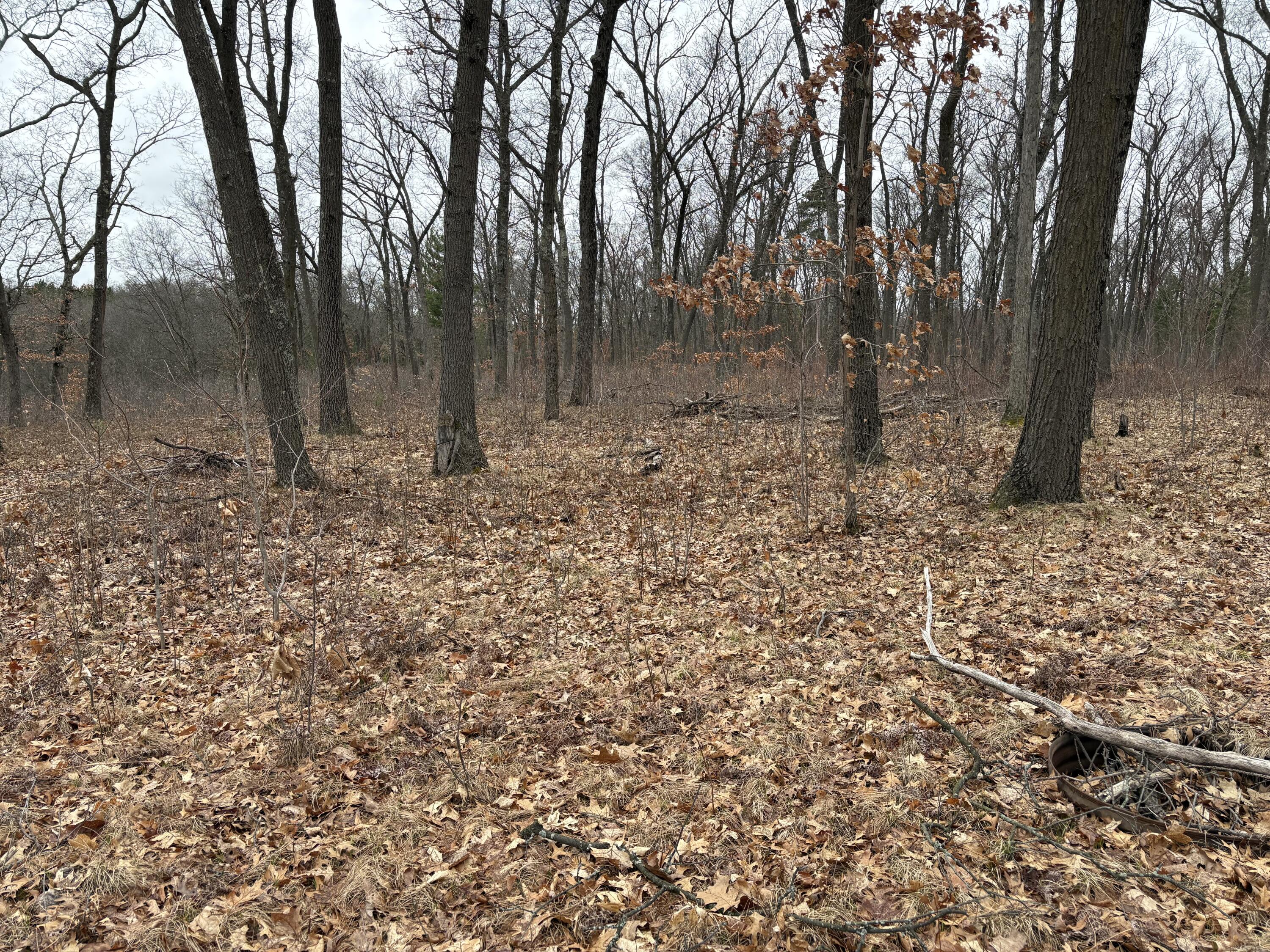 Vl E Wilke Road Property Photo