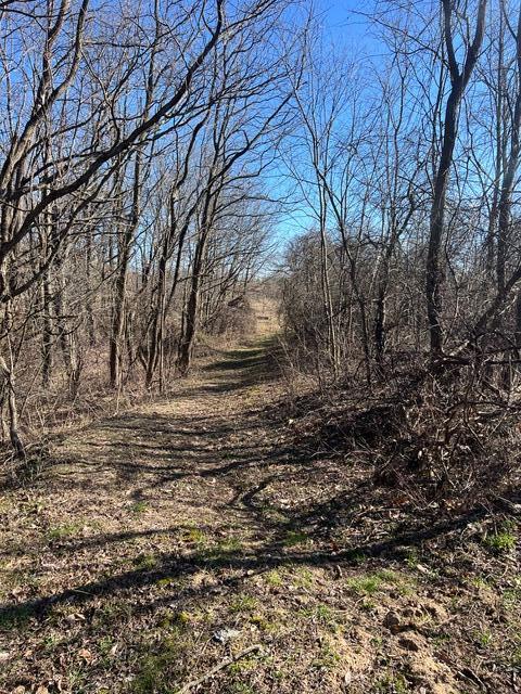 Parcel A W County Line Road Property Photo