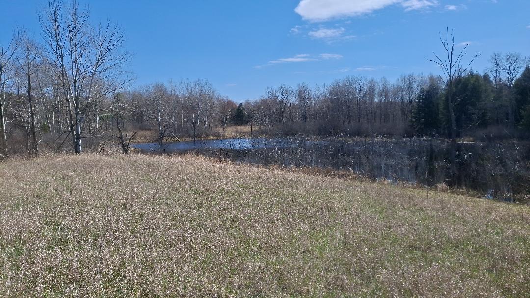 6691 6 Mile Property Photo