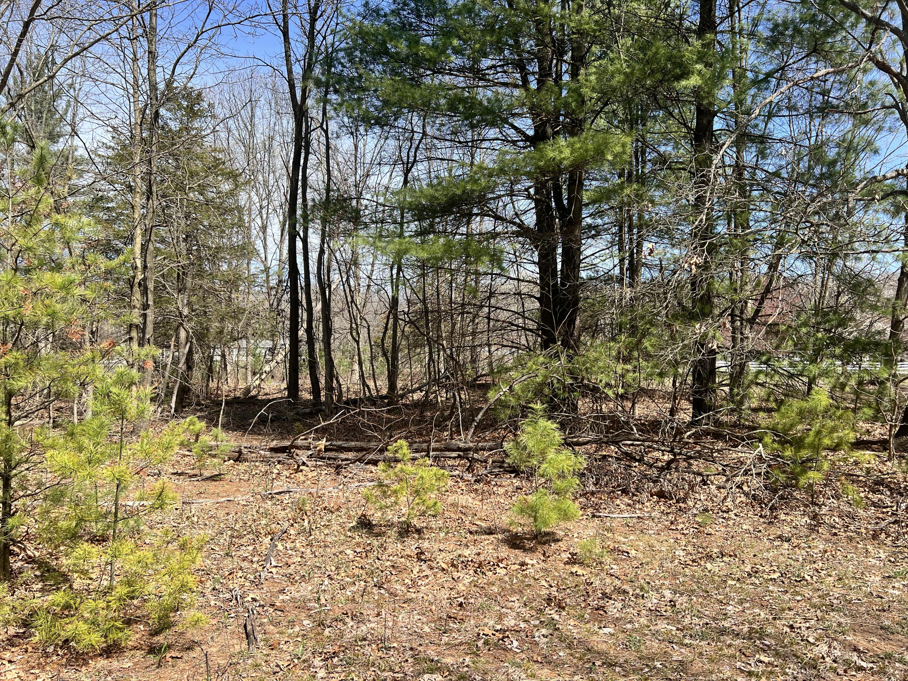 Vl Allegan Dam Road Property Photo