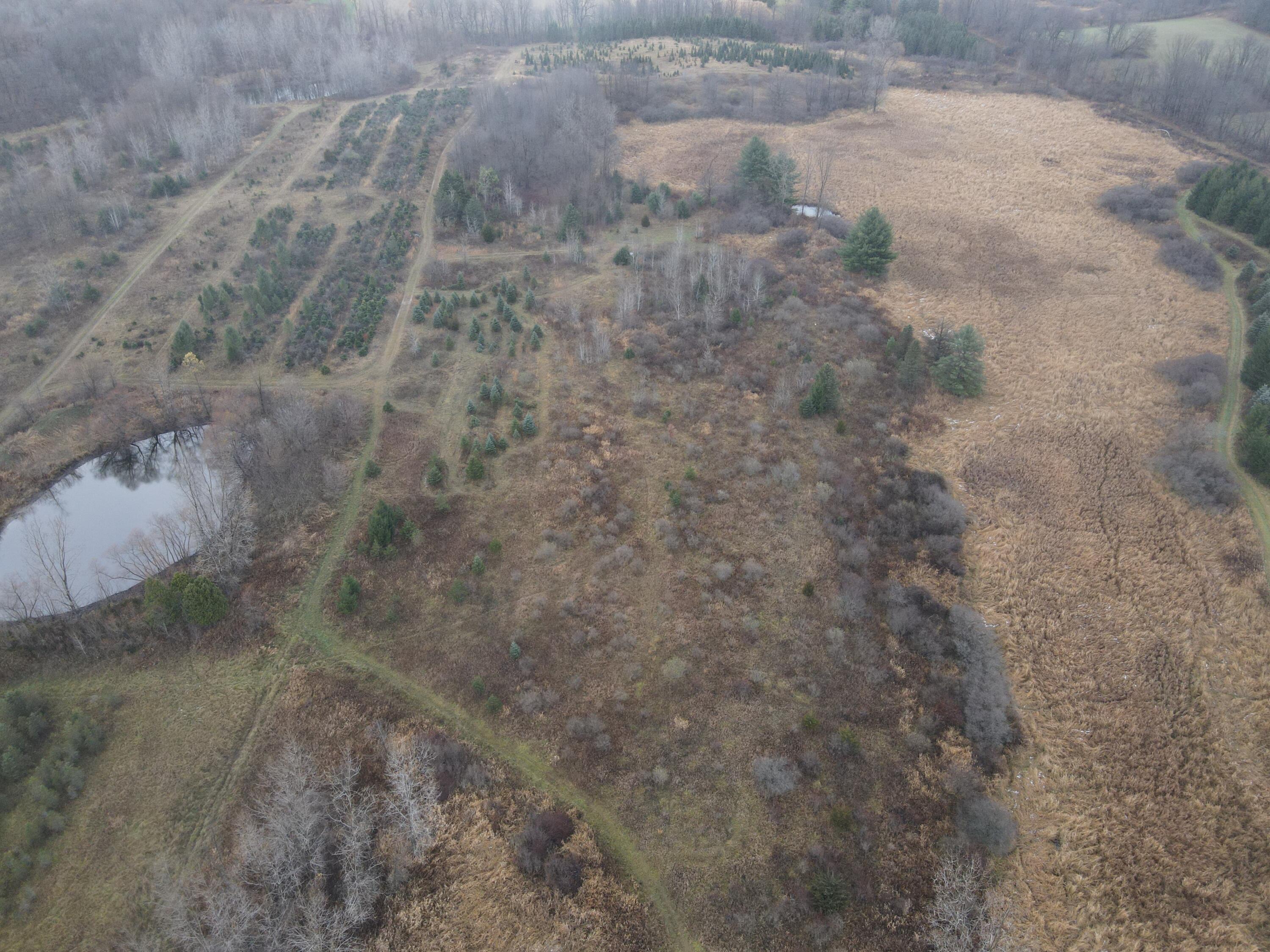 0 Carlisle Highway Property Photo