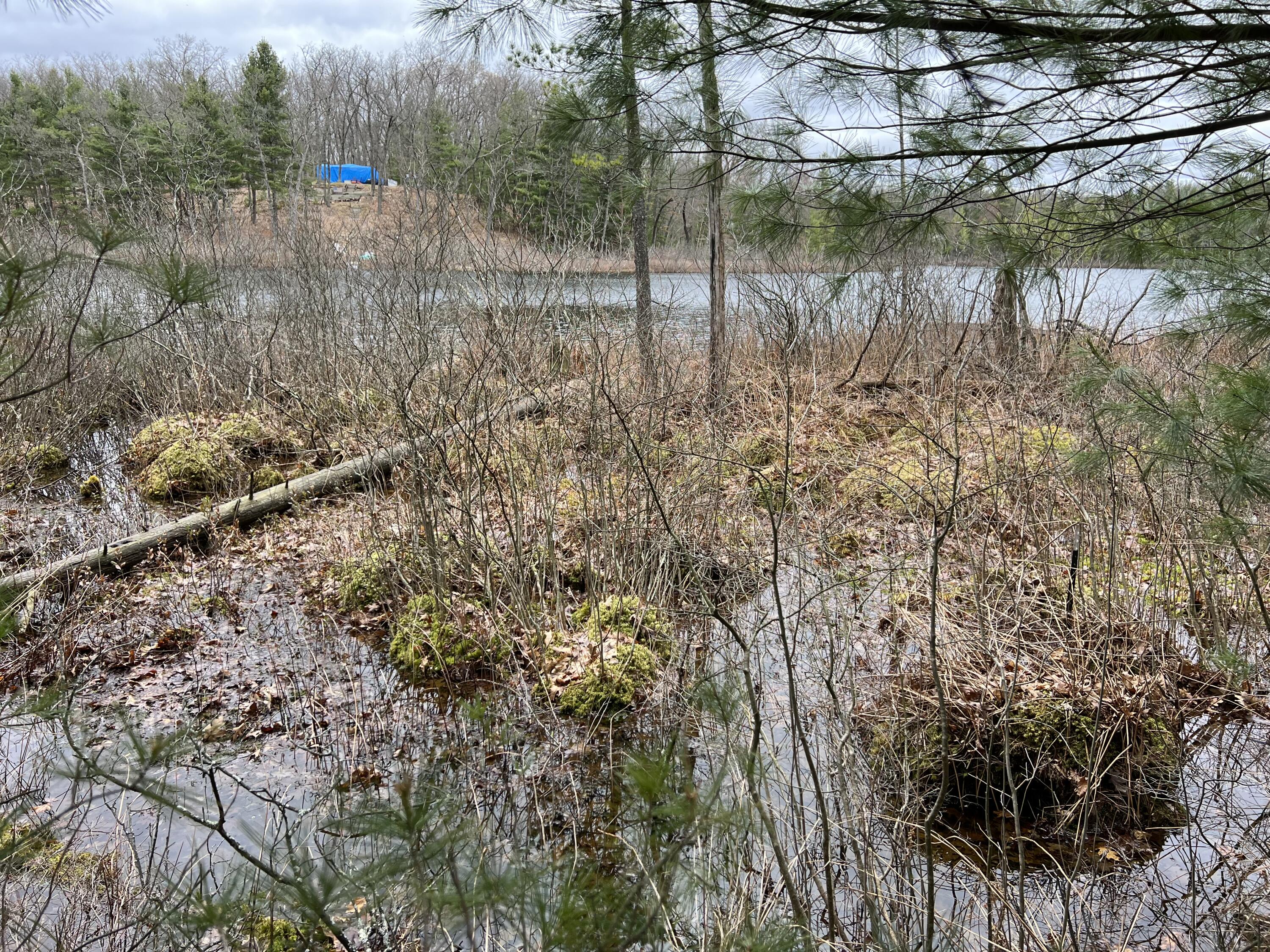 Vl Perch Lake Drive Property Photo
