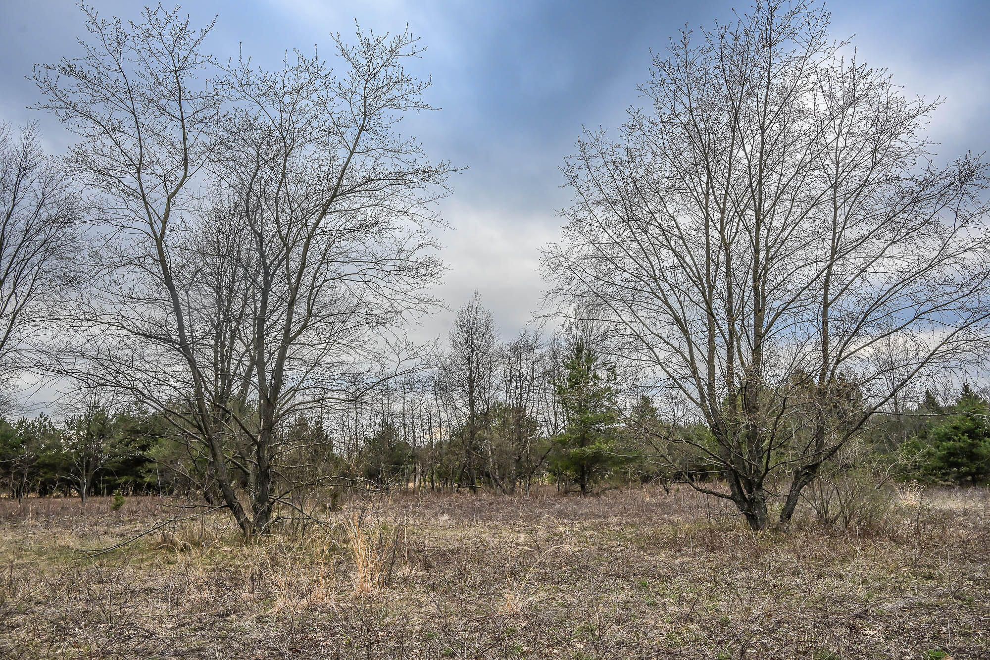 38.33 Acres W Clay Road Property Photo