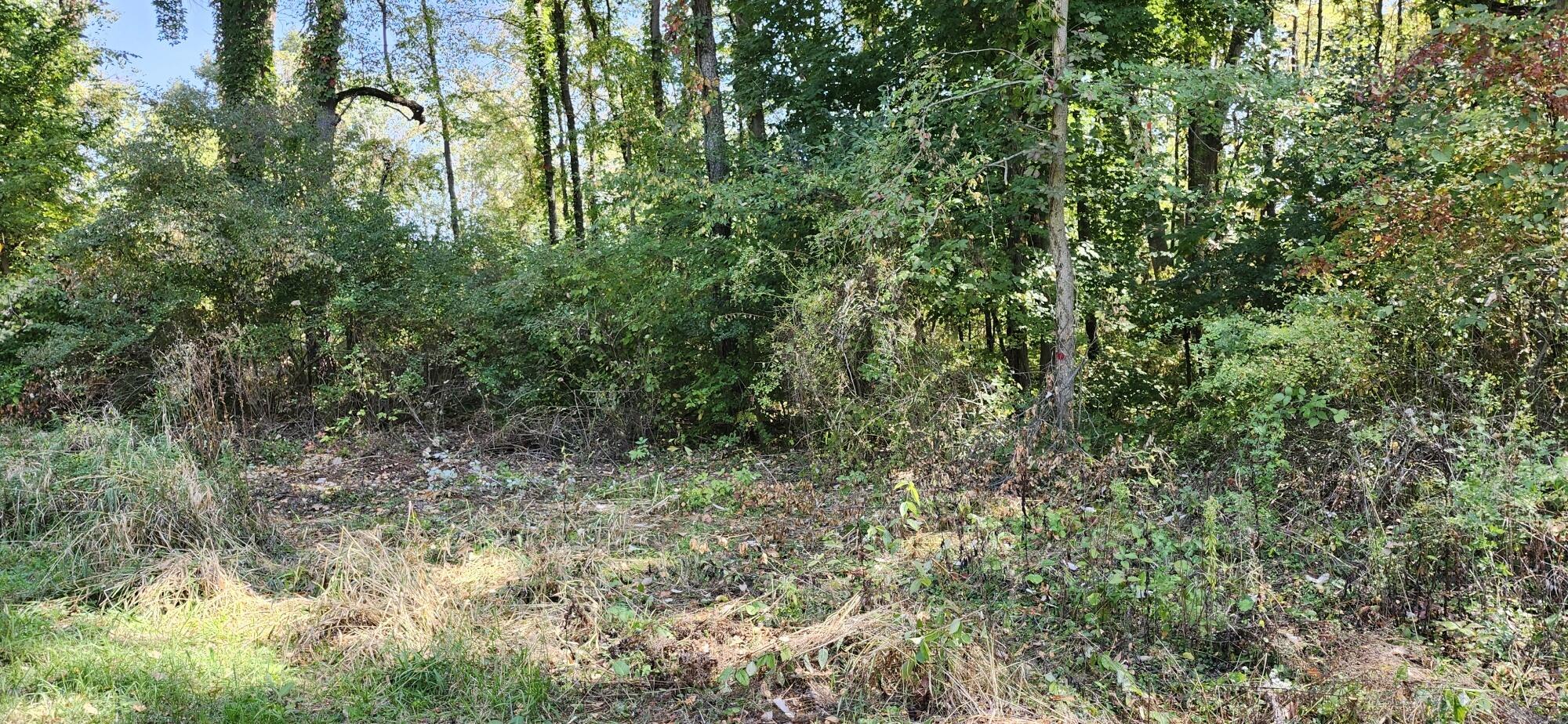 00000 N Shore Drive Property Photo 1
