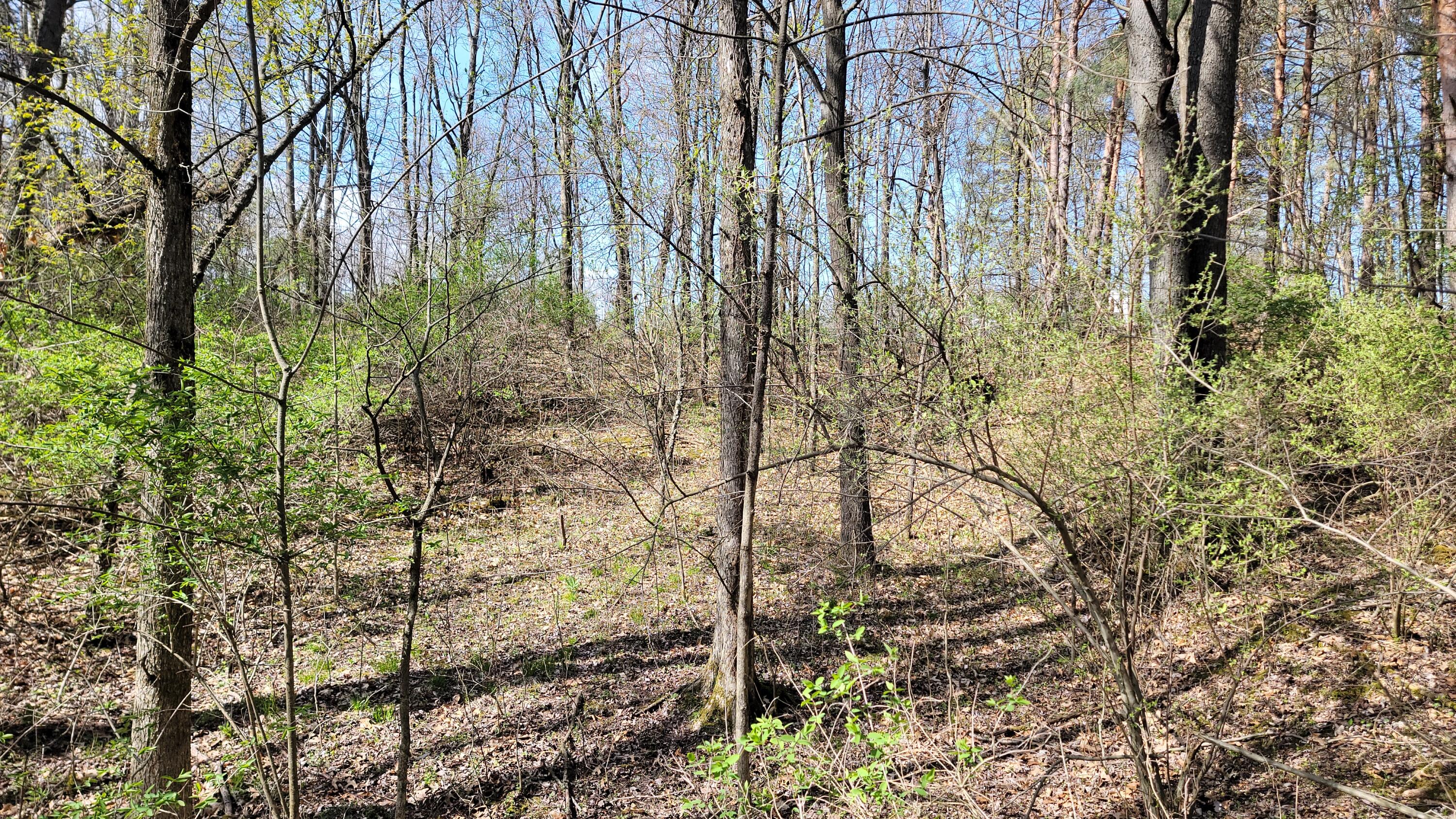 2180 Harwood Road Property Photo 12